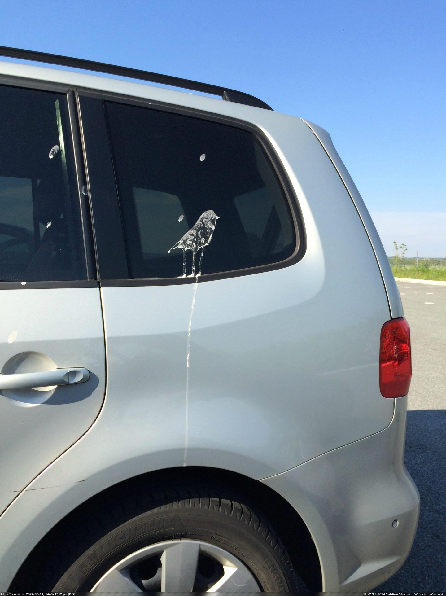 #Funny #Lot #Birdpoop #Parking #Masterpiece [Funny] Birdpoop masterpiece at the parking lot Pic. (Obraz z album My r/FUNNY favs))