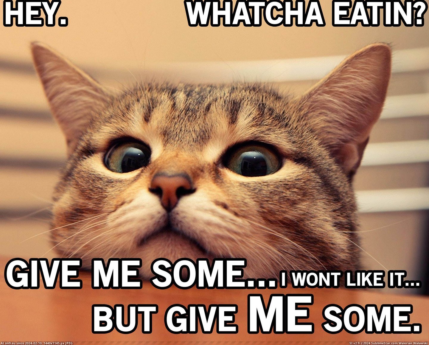 #Funny #Eat #Time [Funny] EVERY time I eat. Pic. (Изображение из альбом My r/FUNNY favs))