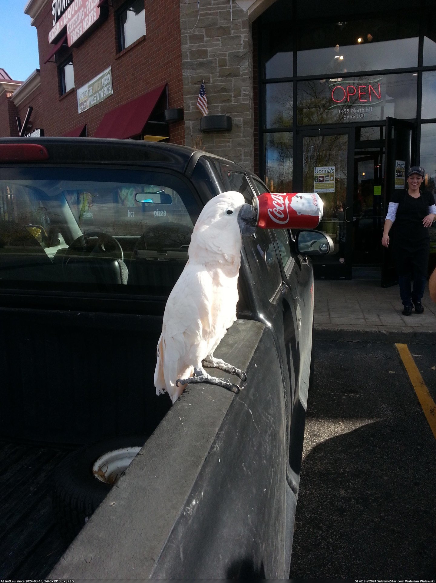 #Funny #Was #Sitting #Liquor #Soda #Store #Drinking [Funny] He was just sitting outside the liquor store drinking a soda 2 Pic. (Image of album My r/FUNNY favs))