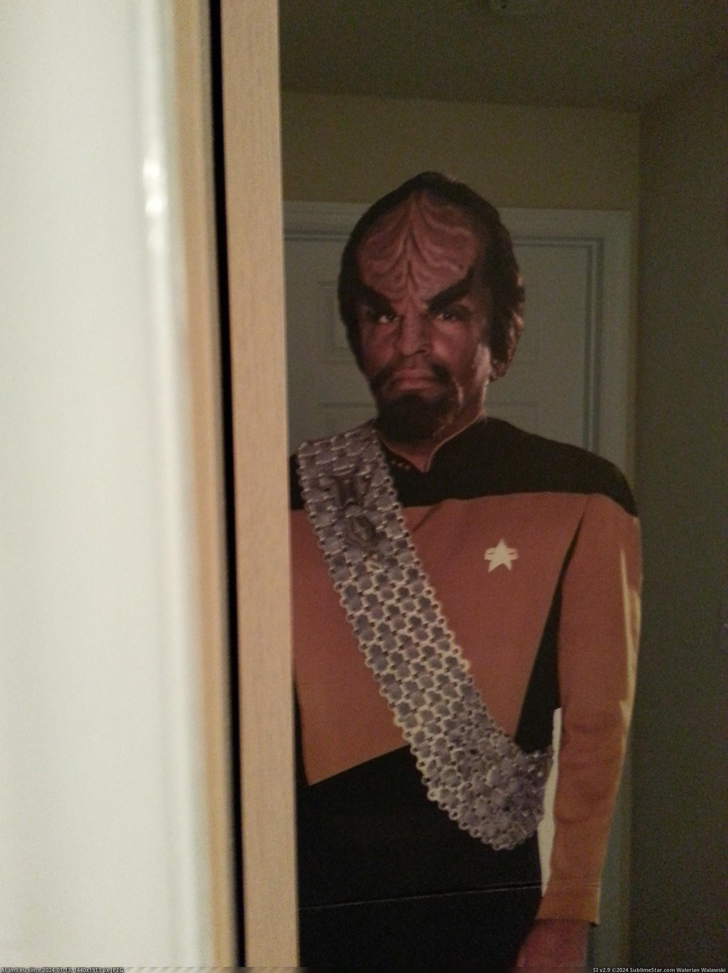 #Funny #Wife #Week #Scare #Sole #Worf #Bought #Moving #Purpose [Funny] I bought a 6 ft Worf for the sole purpose of moving him around to scare my wife once a week Pic. (Image of album My r/FUNNY favs))