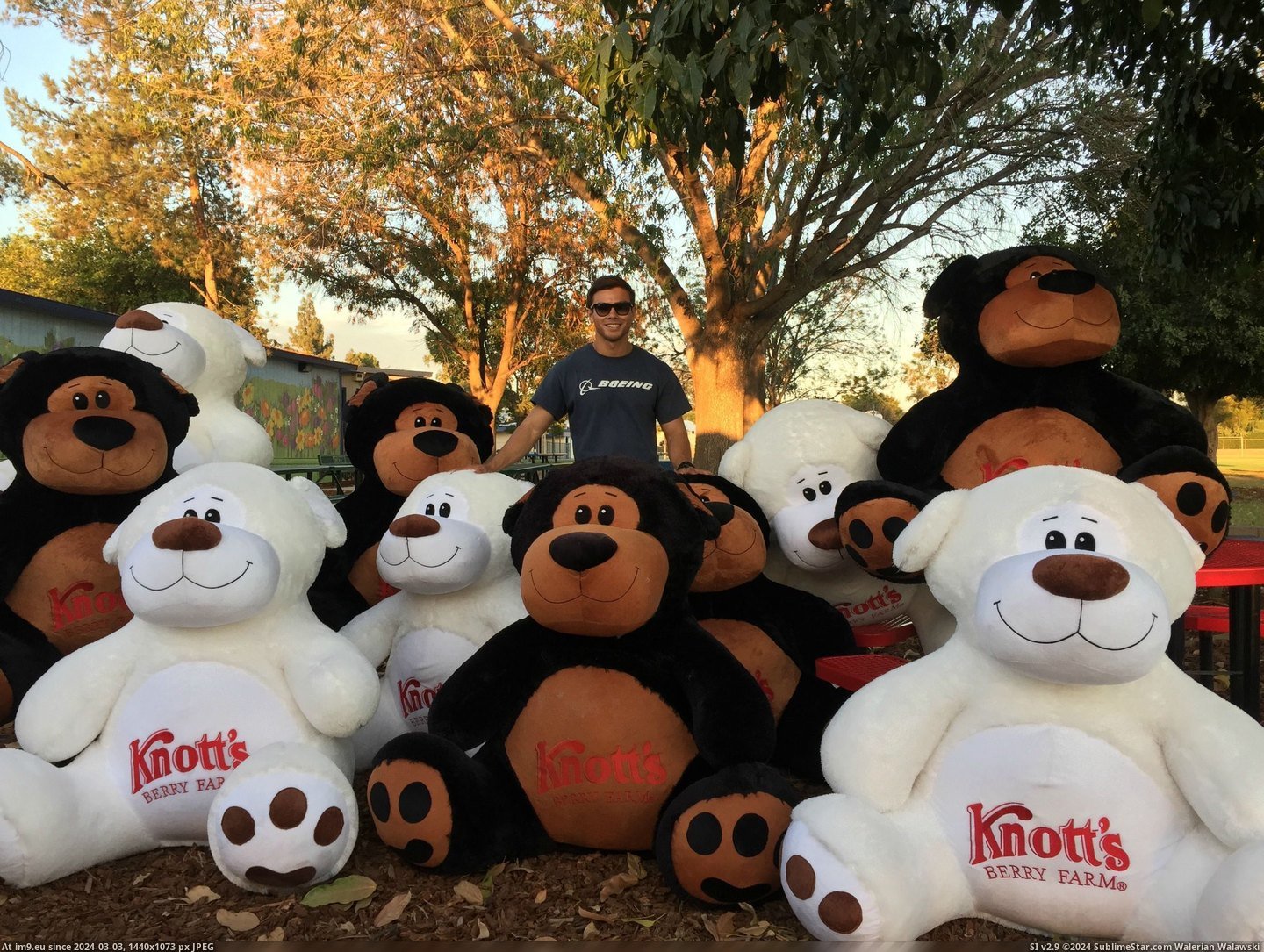 #Funny #Thought #Farm #Bears #Berry #Giant #Win [Funny] I was so preoccupied with the thought of whether or not I could win 10 giant bears from Knott's Berry Farm, I didn't sto Pic. (Obraz z album My r/FUNNY favs))