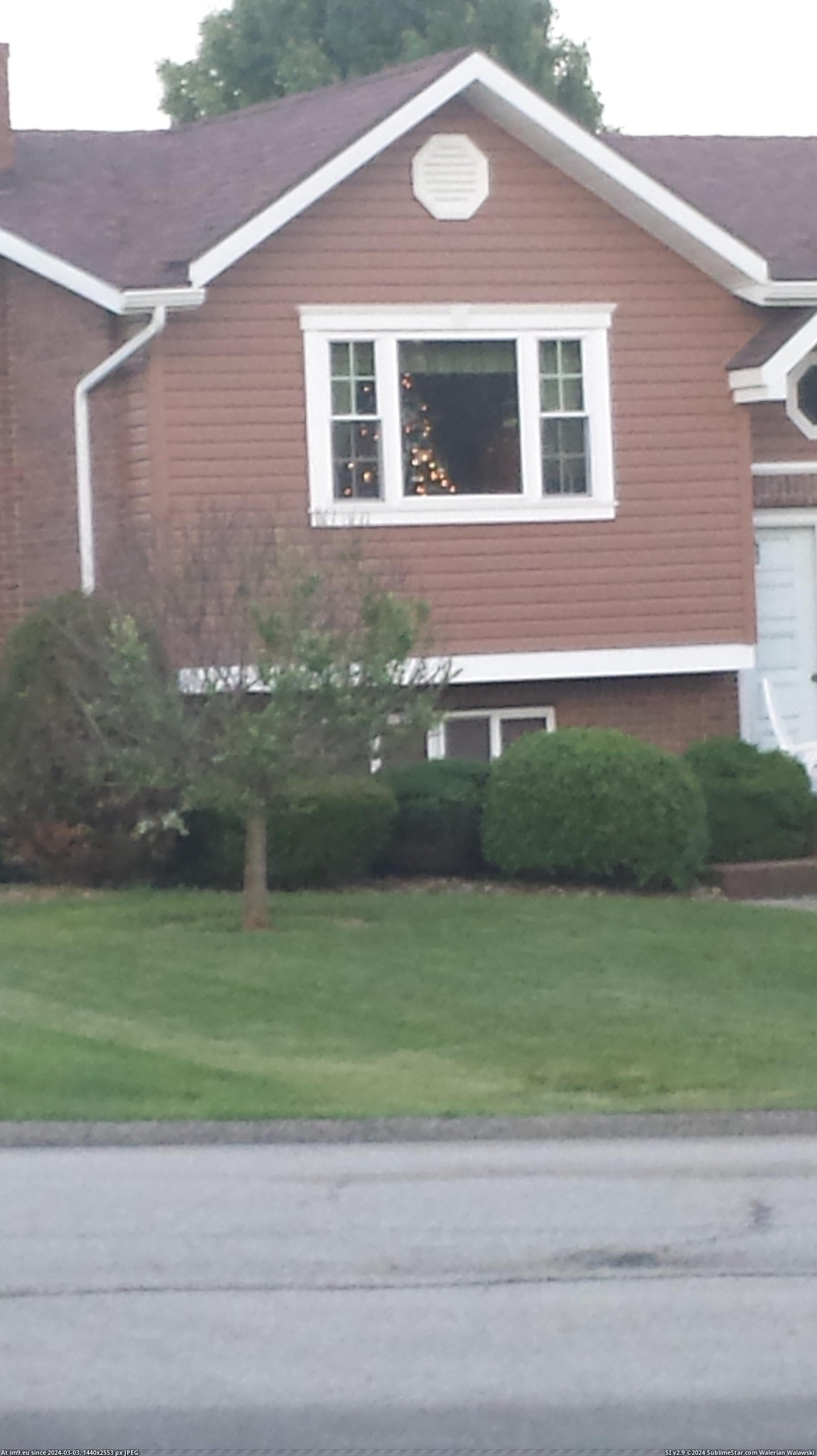 #Funny #Christmas #6th #Ornaments #Tree #Neighbors [Funny] It is June 6th. My neighbors still have their Christmas tree up...with Christmas ornaments on it. Pic. (Image of album My r/FUNNY favs))