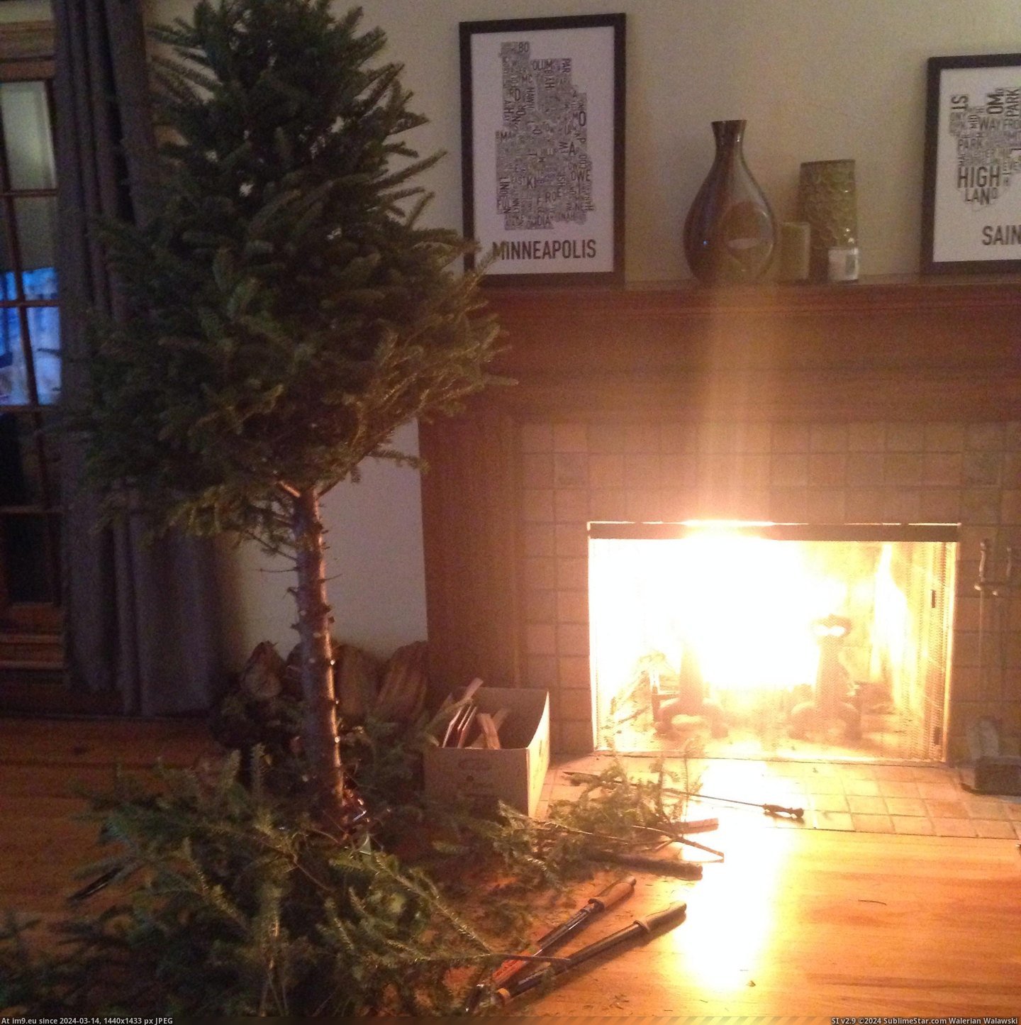 #Funny #Out #Christmas #Tree #Told #Fine #Degrees #She #Had #Get [Funny] It's -23 degrees and she told me the Christmas tree had to get taken out....fine Pic. (Image of album My r/FUNNY favs))