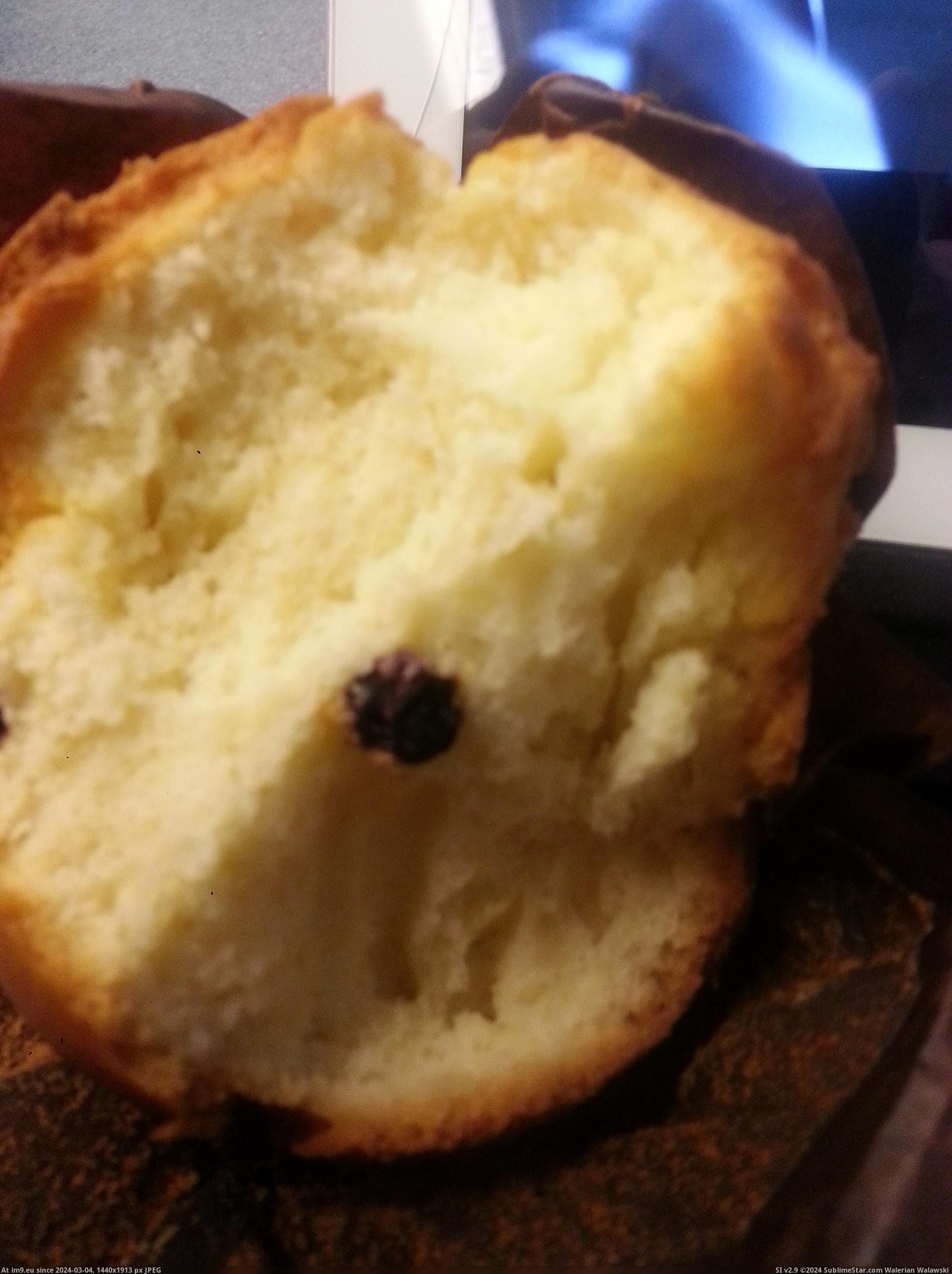 #Funny #Description #Expect #Blueberry #Muffin #Ordered #Accurate [Funny] Ordered a blueberry muffin. Got 1 blueberry. I didnt expect the description to be so accurate. Pic. (Bild von album My r/FUNNY favs))
