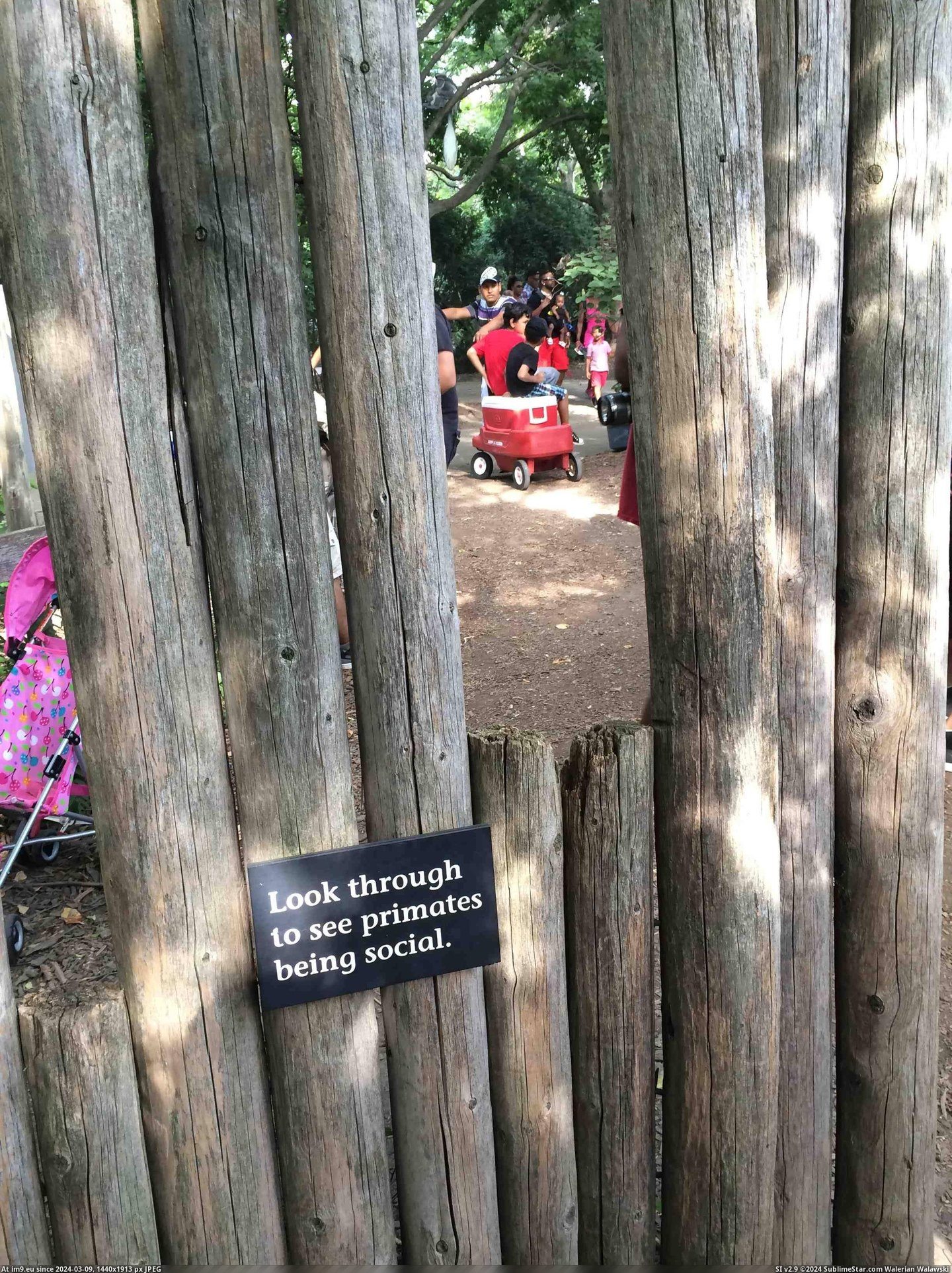 #Funny #One #Zoo #Laughing #Passing #Family #Start [Funny] Passing this zoo sign, I start laughing but no one in my family seemed to get it at first. Pic. (Image of album My r/FUNNY favs))