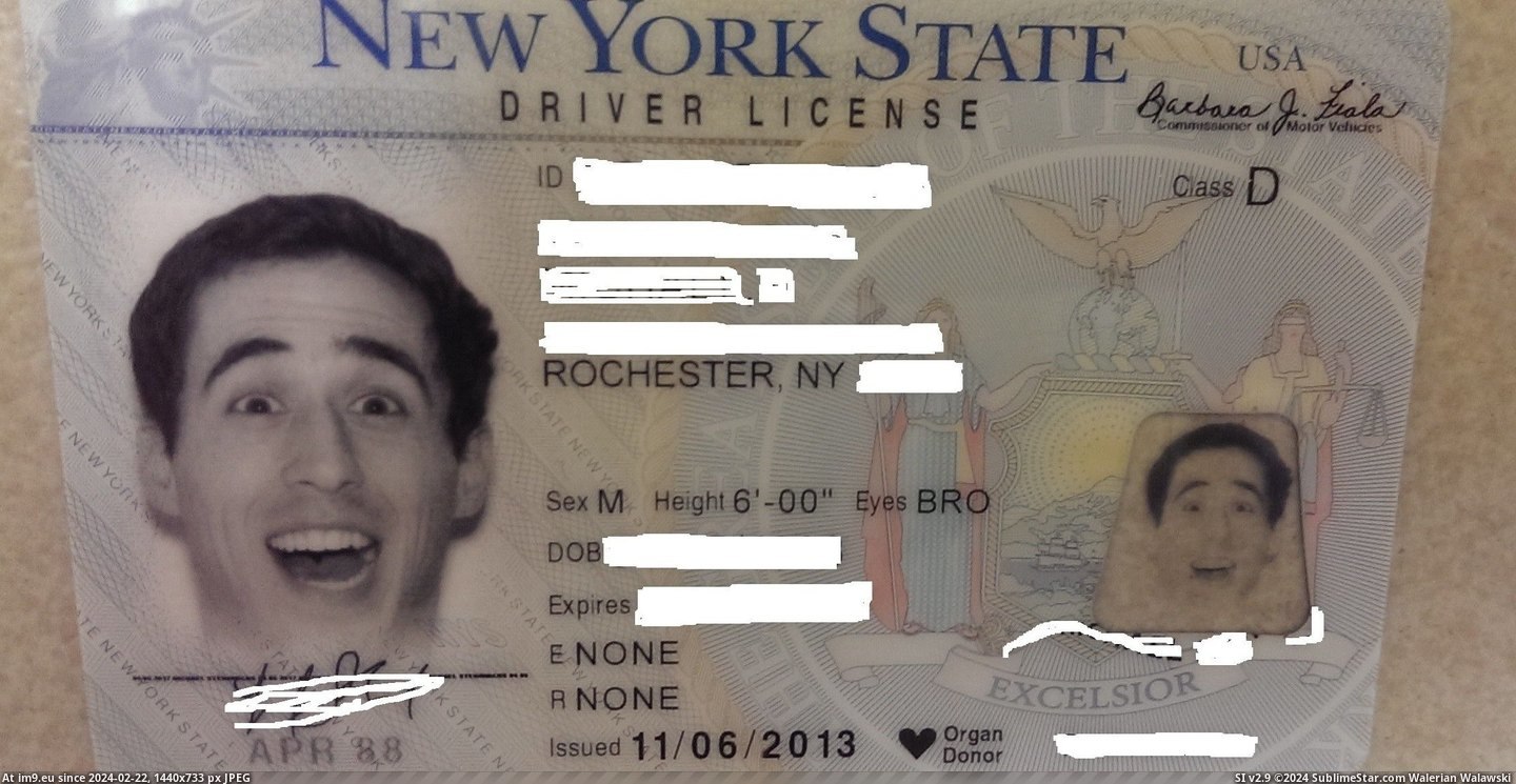 #Funny #New #Got #York #Caring #Psa #Dmv #Apparently #Driver #Stopped #License [Funny] So I got my new driver's license.... PSA: New York DMV has apparently stopped caring Pic. (Image of album My r/FUNNY favs))