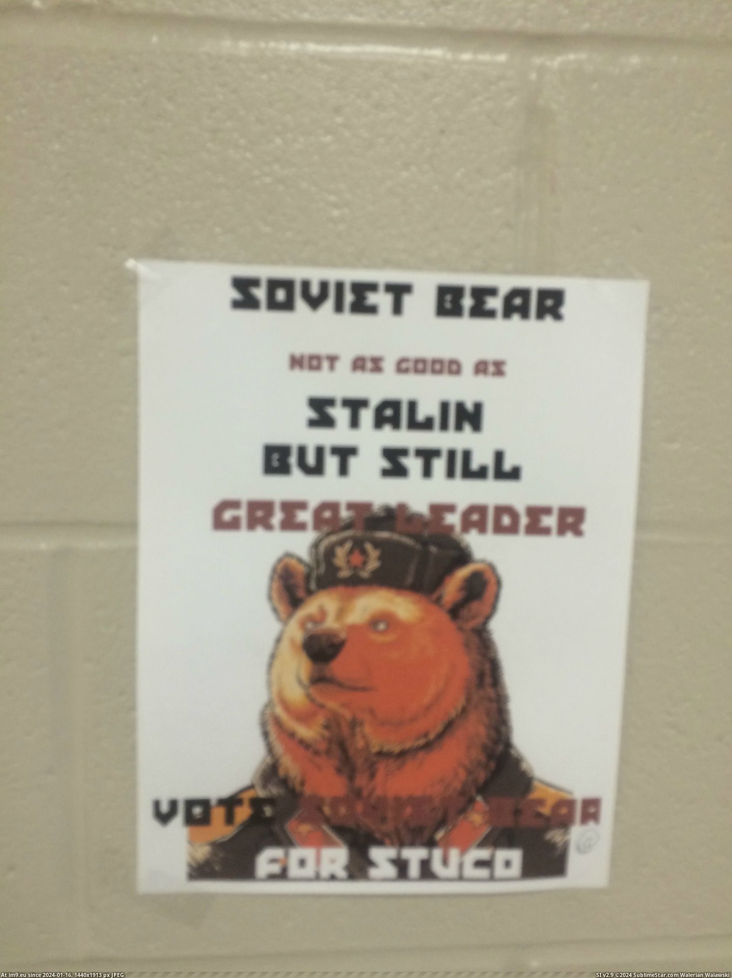#Funny #School #Decided #Holding #Soviet #Council #Elections #Bear #Student #Run [Funny] So my school is holding elections for student council... and someone has decided to run as Soviet Bear 13 Pic. (Obraz z album My r/FUNNY favs))
