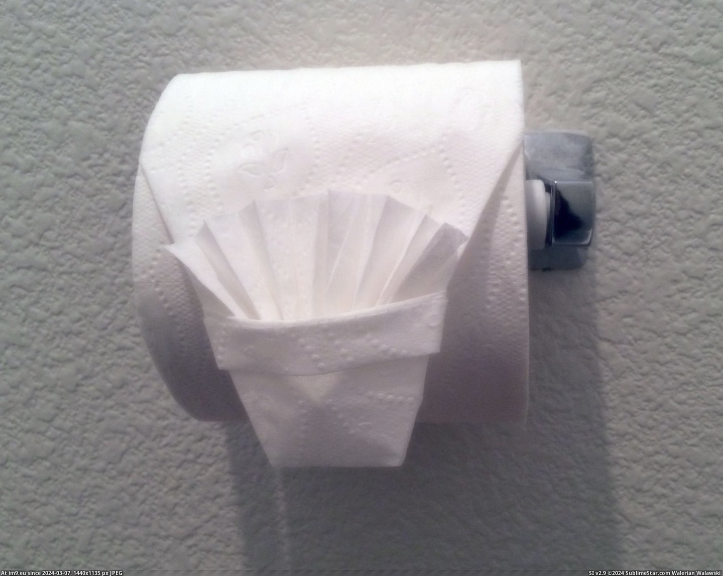 #Funny #Big #Fancy #Kidding #Parties #Origami #Ing #Houses #Guests [Funny] Whenever I go to parties at big fancy houses, I origami the TP so other guests are like 'Are you f-ing kidding me?' Pic. (Bild von album My r/FUNNY favs))