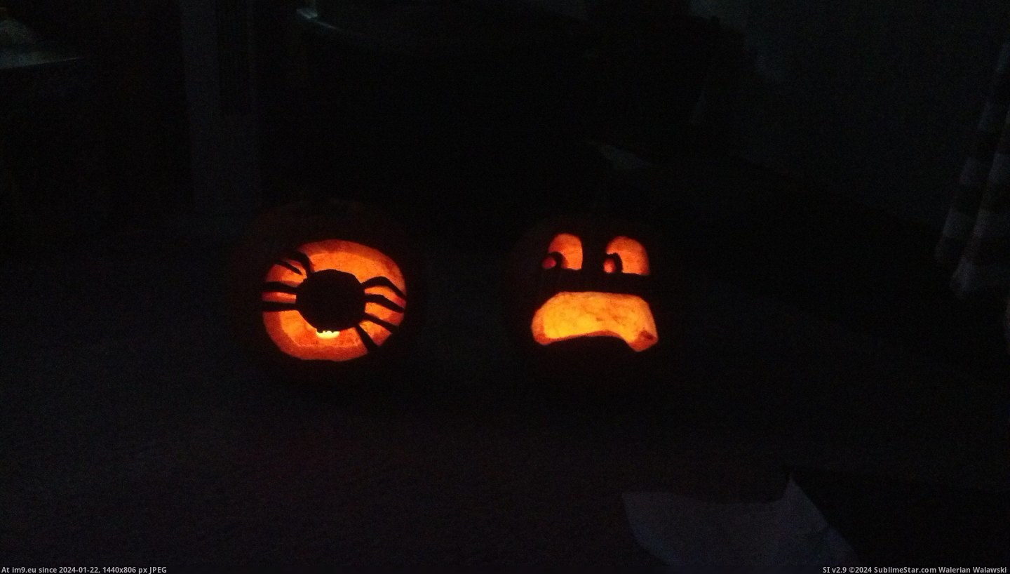 #Funny #Wife #She #Pumpkins #Spiders #Spider #Afraid #Carved [Funny] Wife and I carved pumpkins. She made a spider, I made mine afraid of spiders. Pic. (Bild von album My r/FUNNY favs))