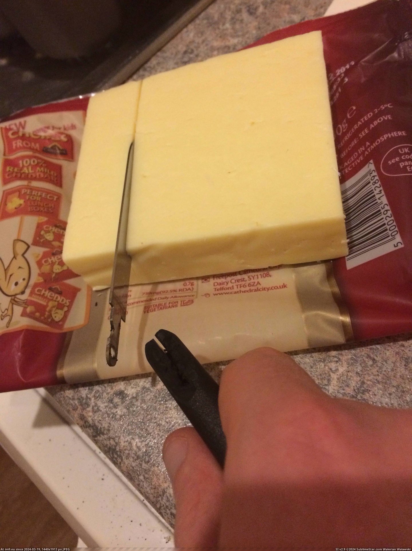 #Funny #Win #Cheese #You [Funny] You win this round, cheese... Pic. (Obraz z album My r/FUNNY favs))