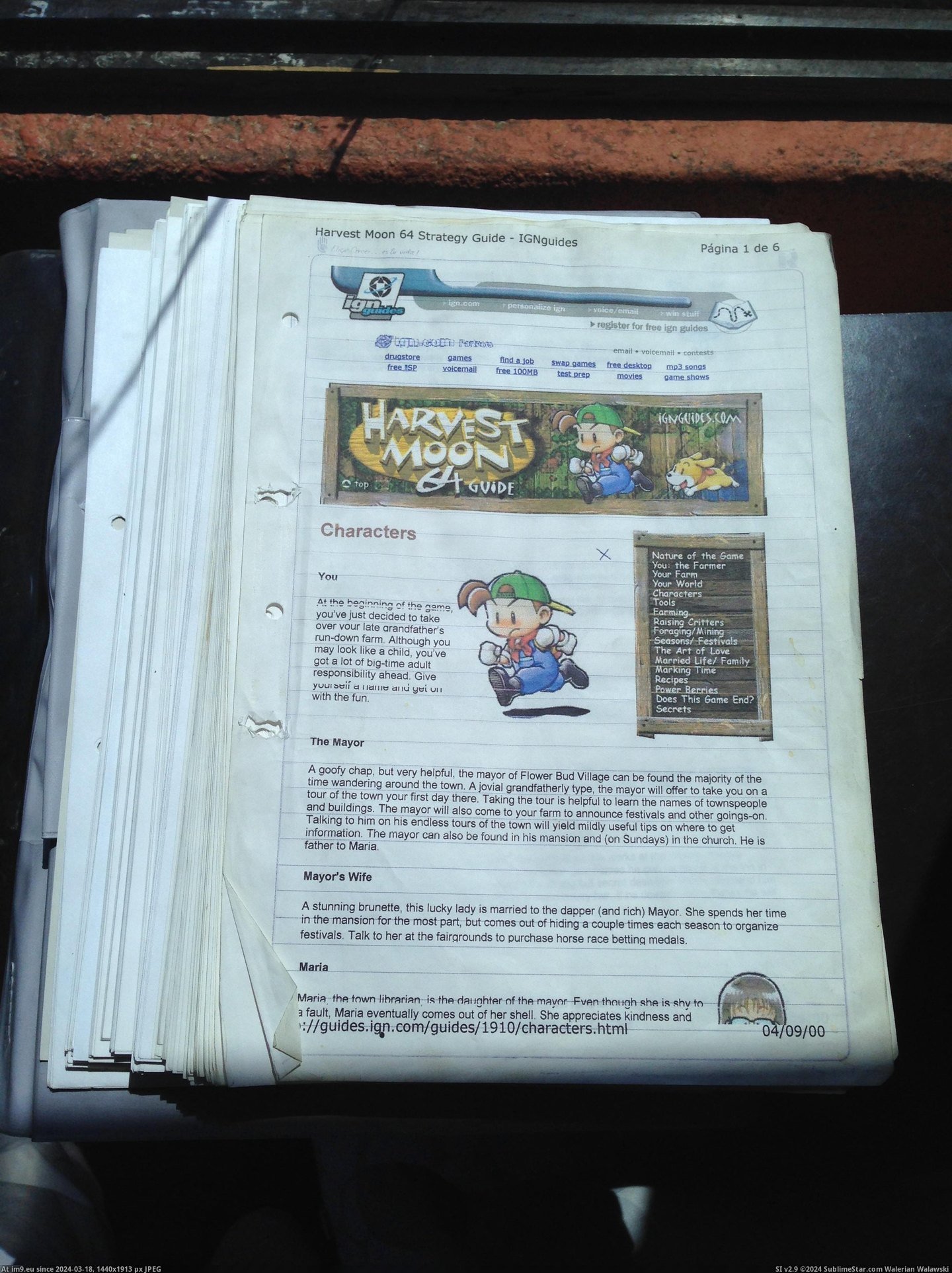 #Gaming #Was #Business #Harvest #Kid #Moon [Gaming] As a kid, Harvest Moon was serious business. Pic. (Obraz z album My r/GAMING favs))