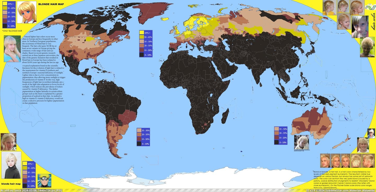 #Blonde #Hair #World [Mapporn] Blonde hair across the world [4972x2517] Pic. (Image of album My r/MAPS favs))