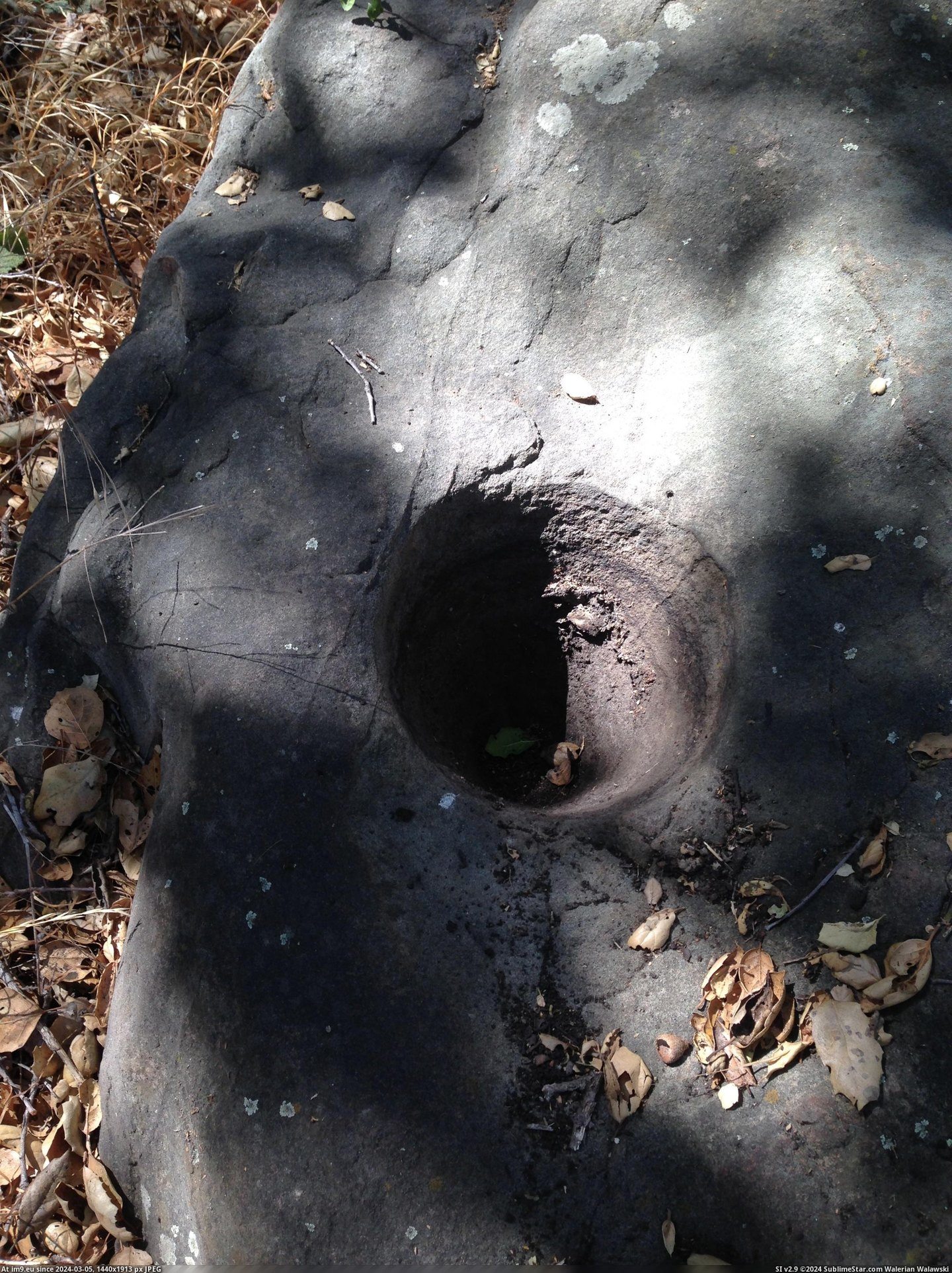 #Work #Man #Hole #Driveway #Native #Grind #Rock #Food #Americans [Mildlyinteresting] A rock by the driveway of my work has a man-made hole where Native Americans used to grind food Pic. (Image of album My r/MILDLYINTERESTING favs))