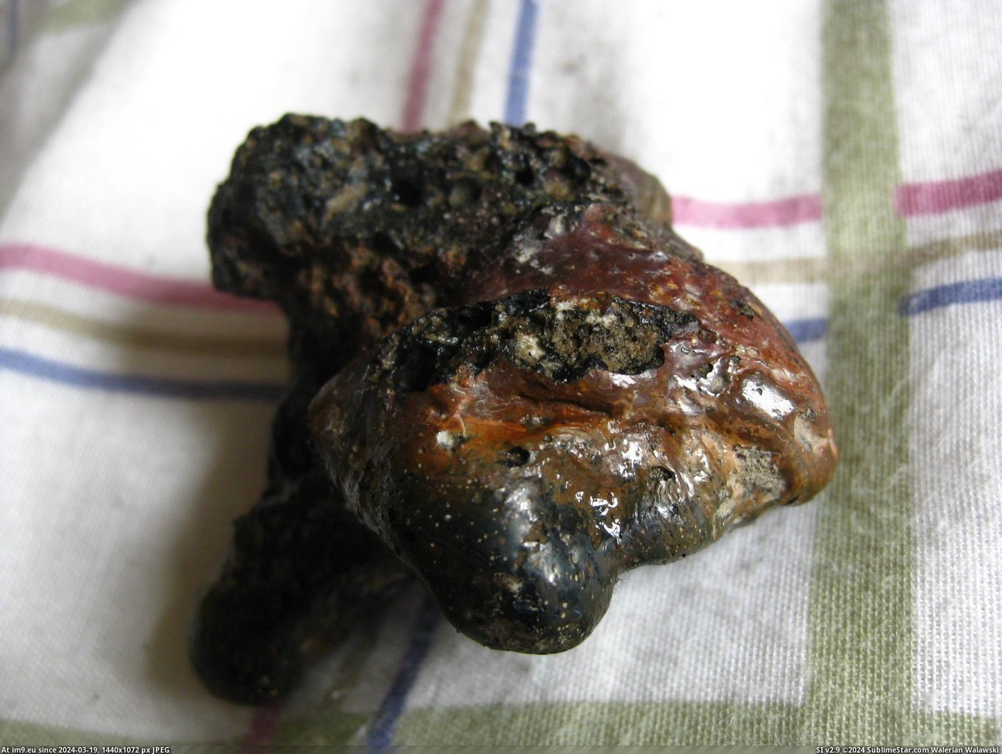 #Small #Landed #Meteorite #Backyard [Mildlyinteresting] A small meteorite landed in my backyard Pic. (Image of album My r/MILDLYINTERESTING favs))