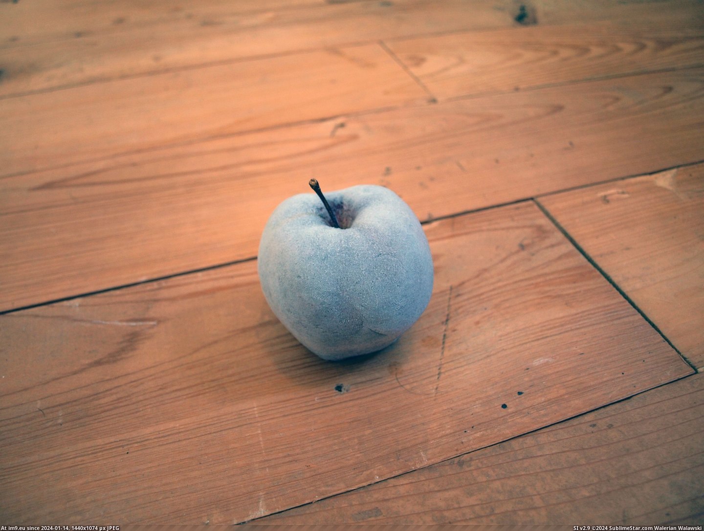#Out #Left #Accidently #Apple #Overnight [Mildlyinteresting] Accidently left my apple out overnight. 2 Pic. (Bild von album My r/MILDLYINTERESTING favs))