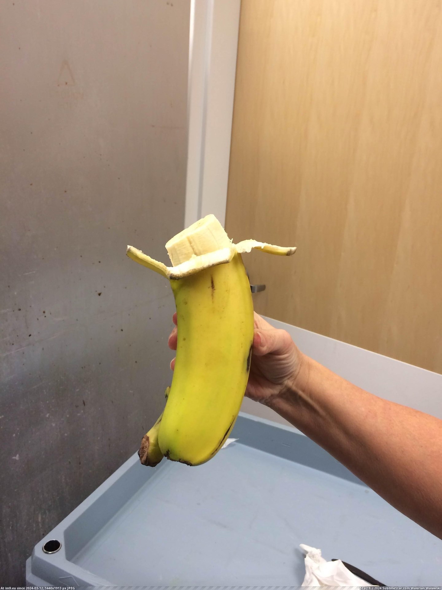 #For #Double #Added #Regular #Scale #Banana [Mildlyinteresting] Double Banana (Regular Banana added for scale) 3 Pic. (Obraz z album My r/MILDLYINTERESTING favs))