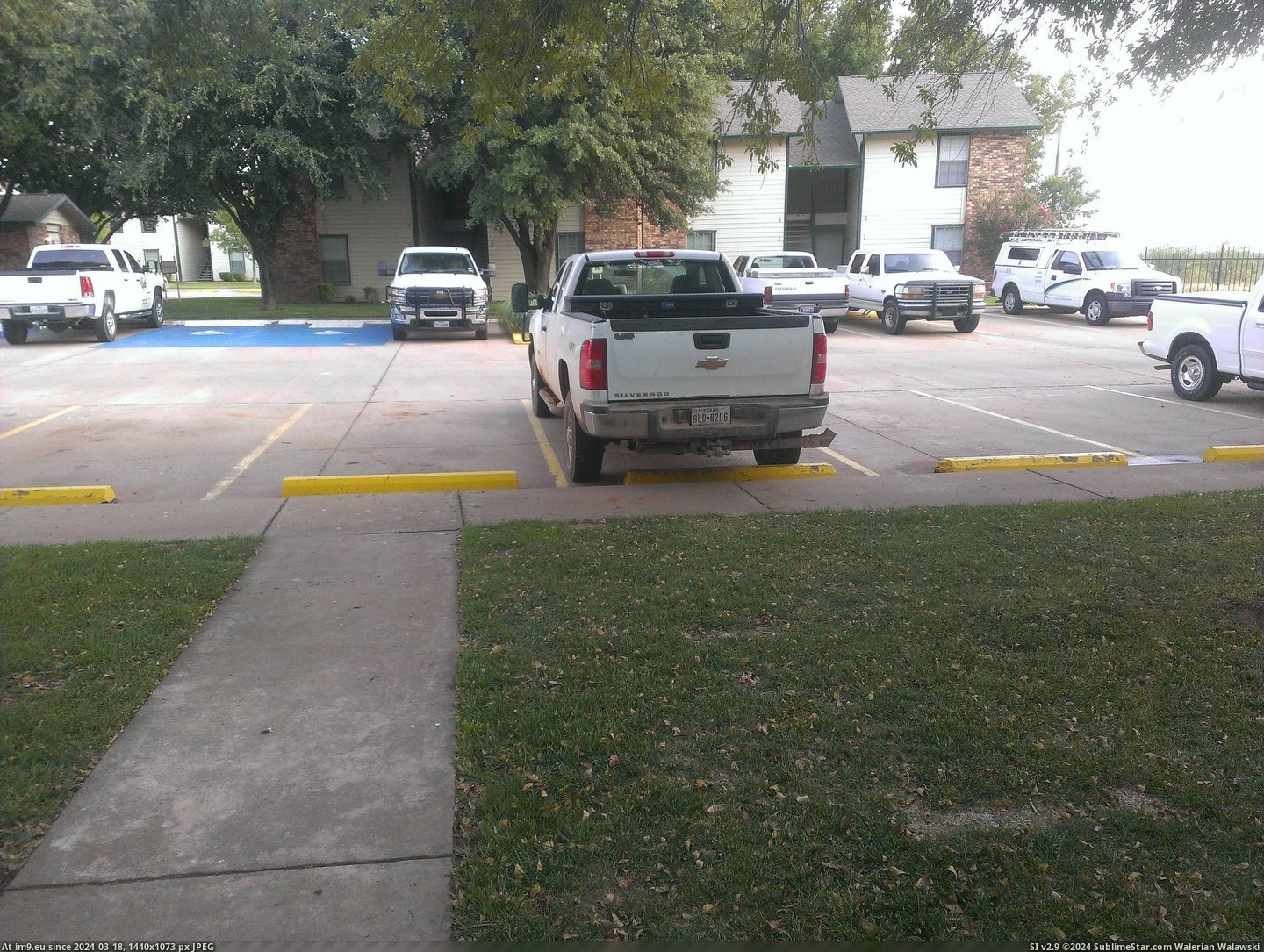 #White #Truck #Drives #Apartment #Complex [Mildlyinteresting] Everyone in my apartment complex drives a white truck Pic. (Image of album My r/MILDLYINTERESTING favs))