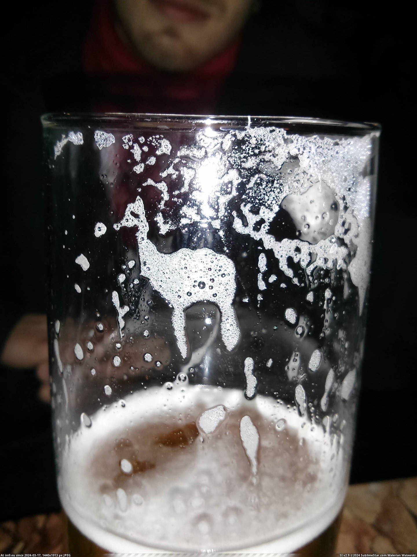 #Beer #Glas #Llama [Mildlyinteresting] Found a llama in my beer glas. Pic. (Image of album My r/MILDLYINTERESTING favs))