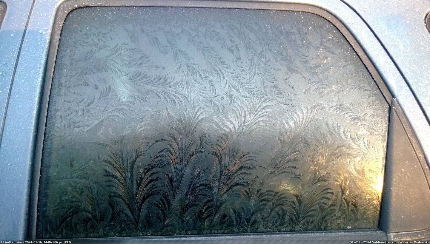 #Interesting #Frost #Mildly [Mildlyinteresting] Frost looks mildly interesting Pic. (Image of album My r/MILDLYINTERESTING favs))