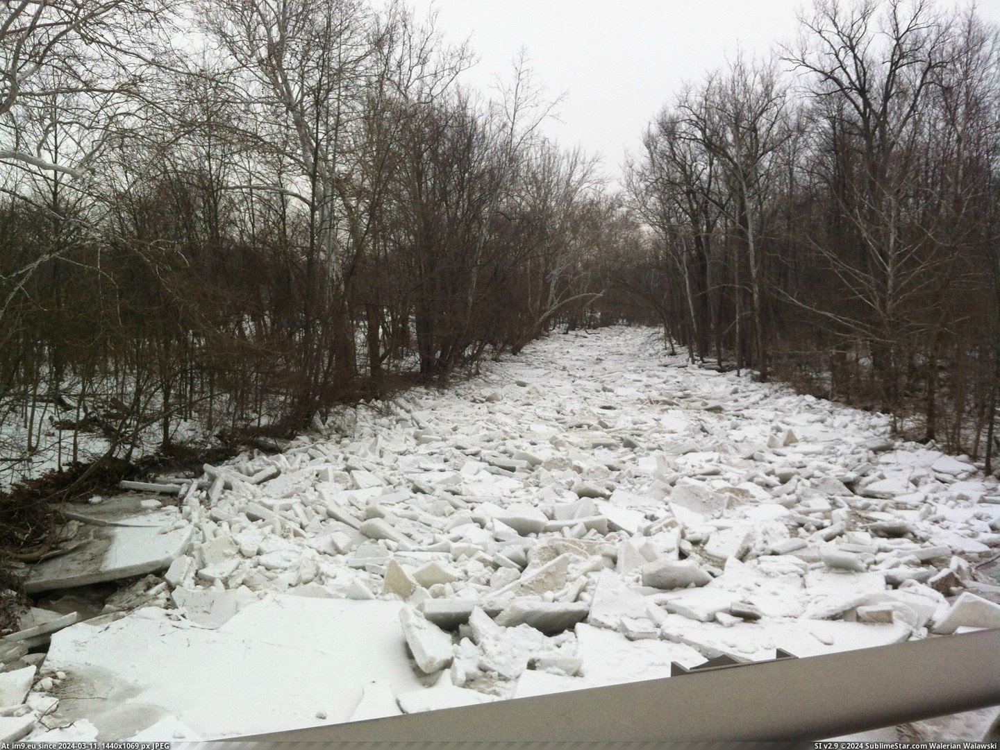 #House #Creek #Indiana #Frozen [Mildlyinteresting] Frozen creek near my house in Indiana Pic. (Изображение из альбом My r/MILDLYINTERESTING favs))