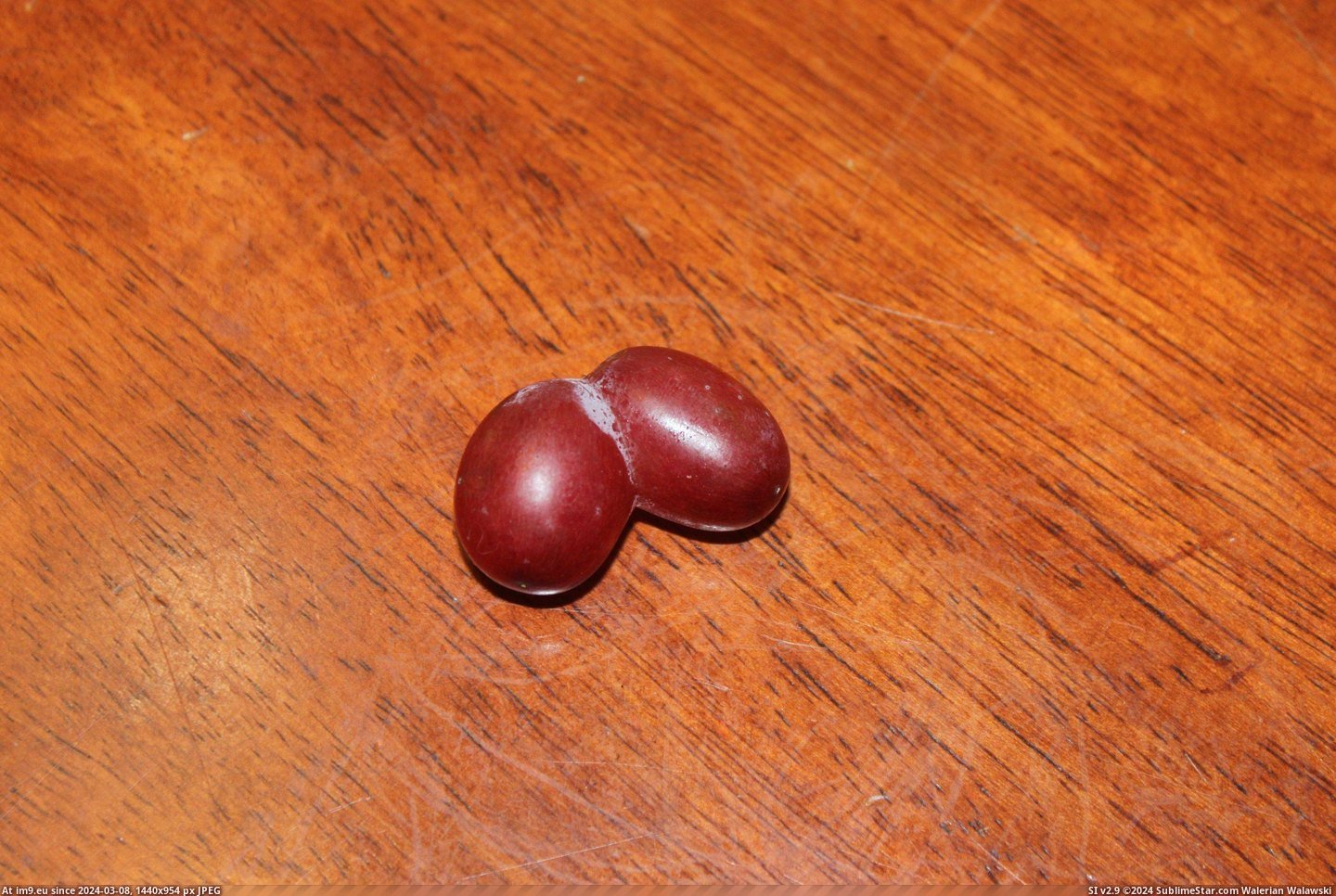 #Grapes  #Conjoined [Mildlyinteresting] I found conjoined grapes. 2 Pic. (Obraz z album My r/MILDLYINTERESTING favs))