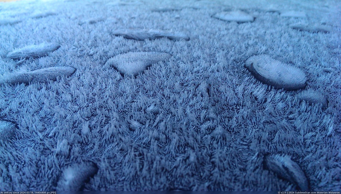 #Morning #Had #Rain #Car #Frozen [Mildlyinteresting] I had some frozen rain on my car the other morning... Pic. (Image of album My r/MILDLYINTERESTING favs))