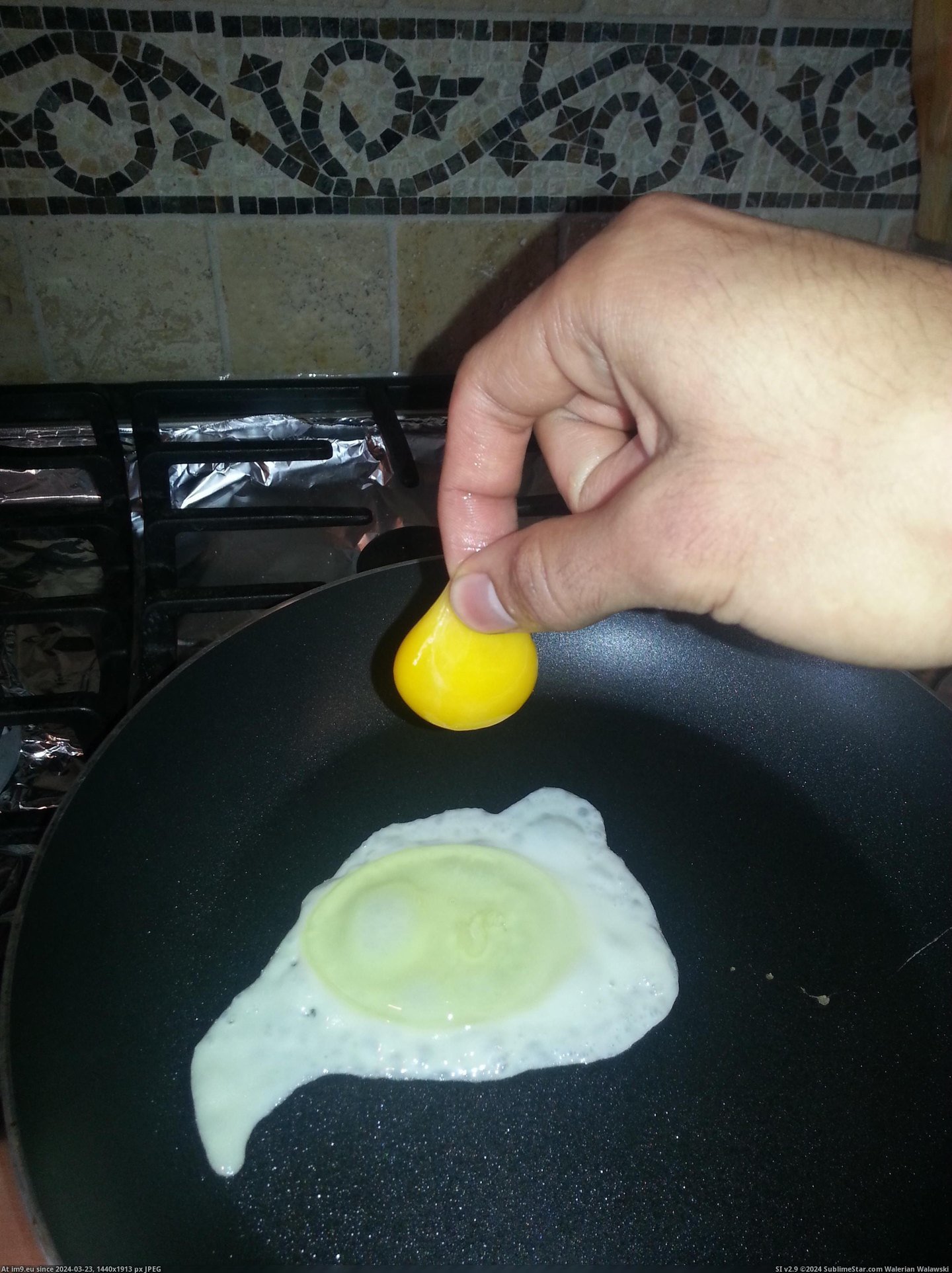 #Plucked  #Yolk [Mildlyinteresting] I plucked a yolk. Pic. (Image of album My r/MILDLYINTERESTING favs))