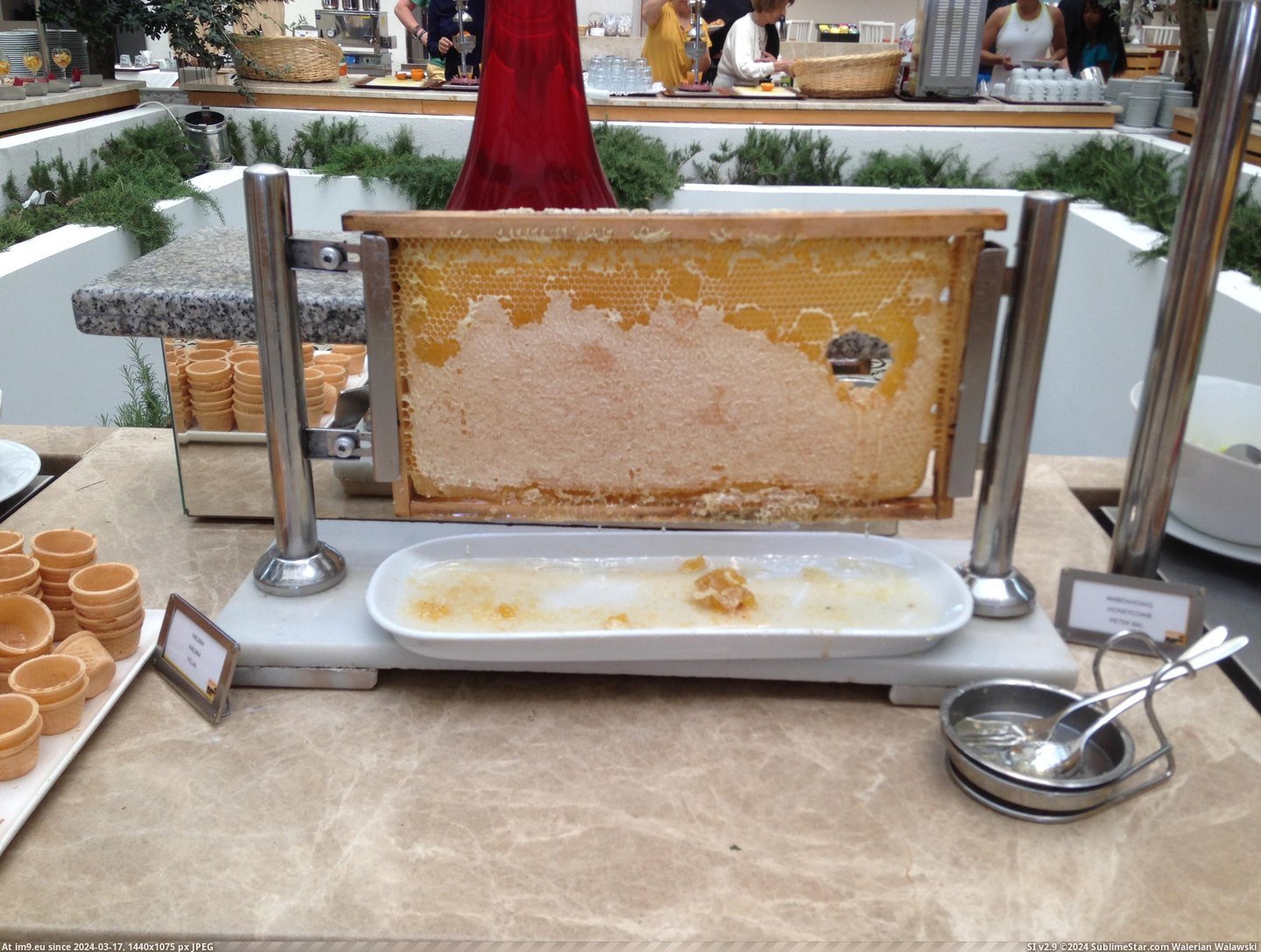 #Hotel #Honey #Honeycomb #Served [Mildlyinteresting] In my hotel the honey is served directly from the honeycomb Pic. (Image of album My r/MILDLYINTERESTING favs))