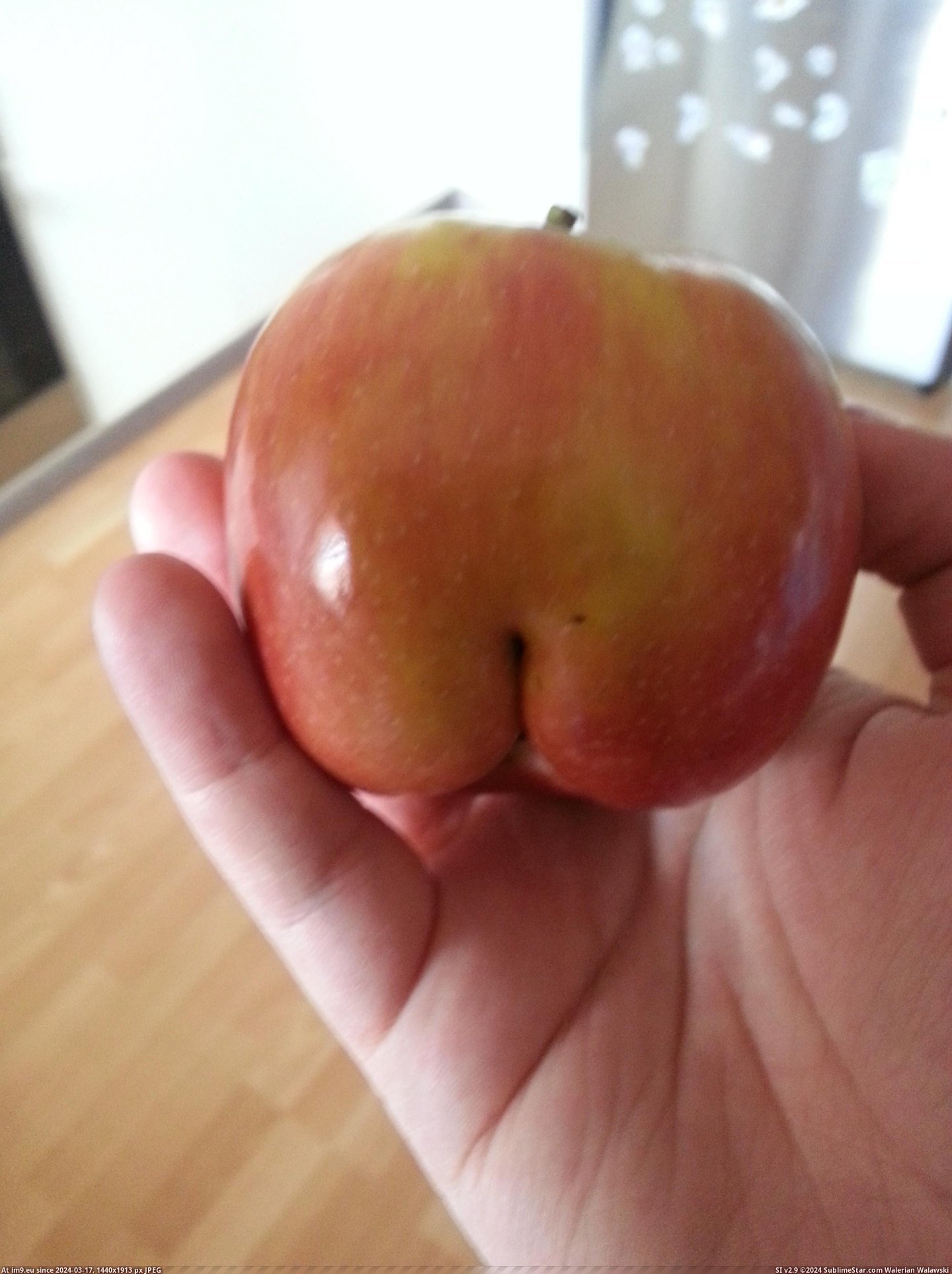 #Apple  #Bum [Mildlyinteresting] My apple has a bum Pic. (Obraz z album My r/MILDLYINTERESTING favs))
