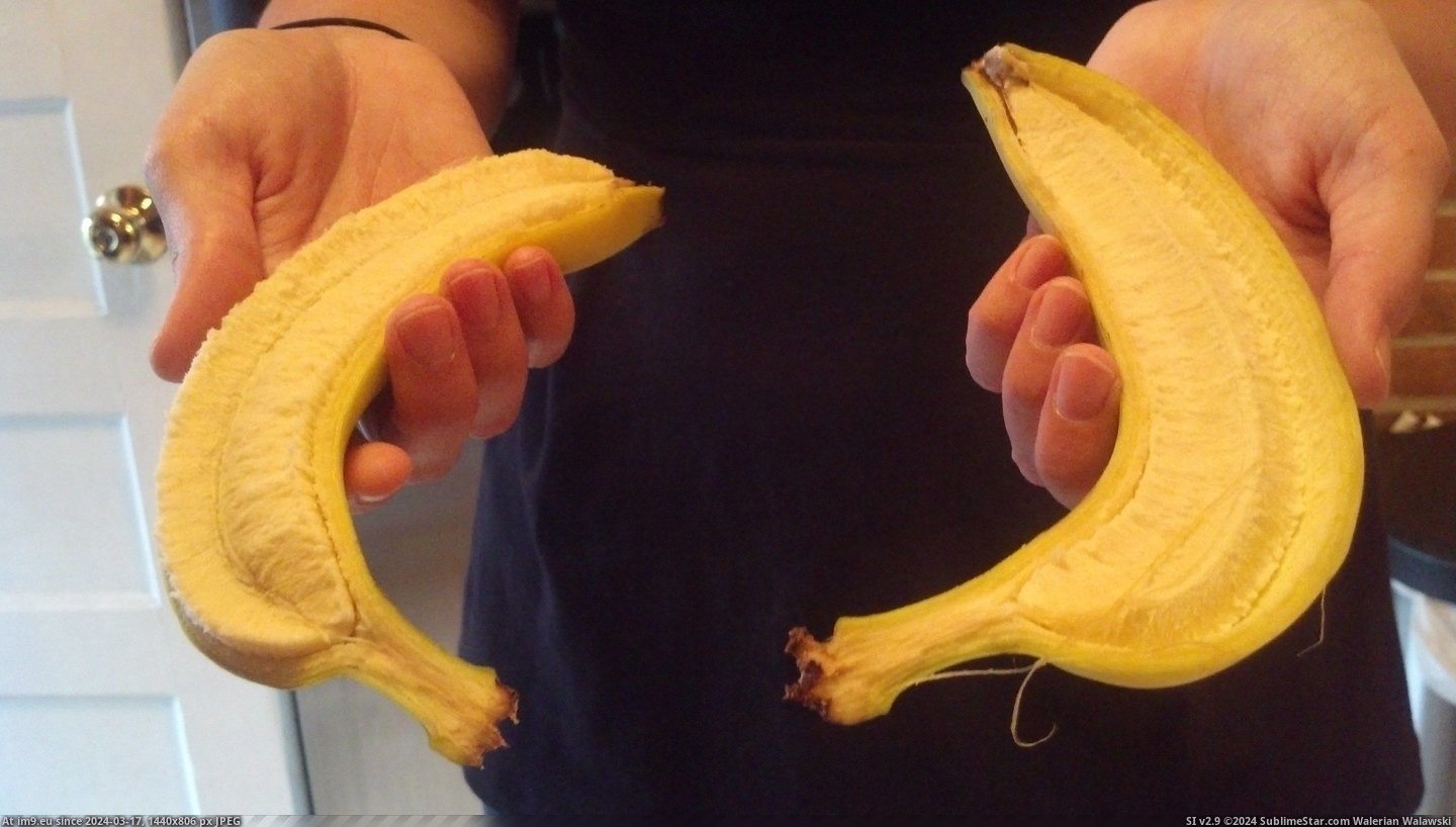 #Entire #Split #Peeled #Banana [Mildlyinteresting] My entire banana split in half when peeled... Pic. (Image of album My r/MILDLYINTERESTING favs))
