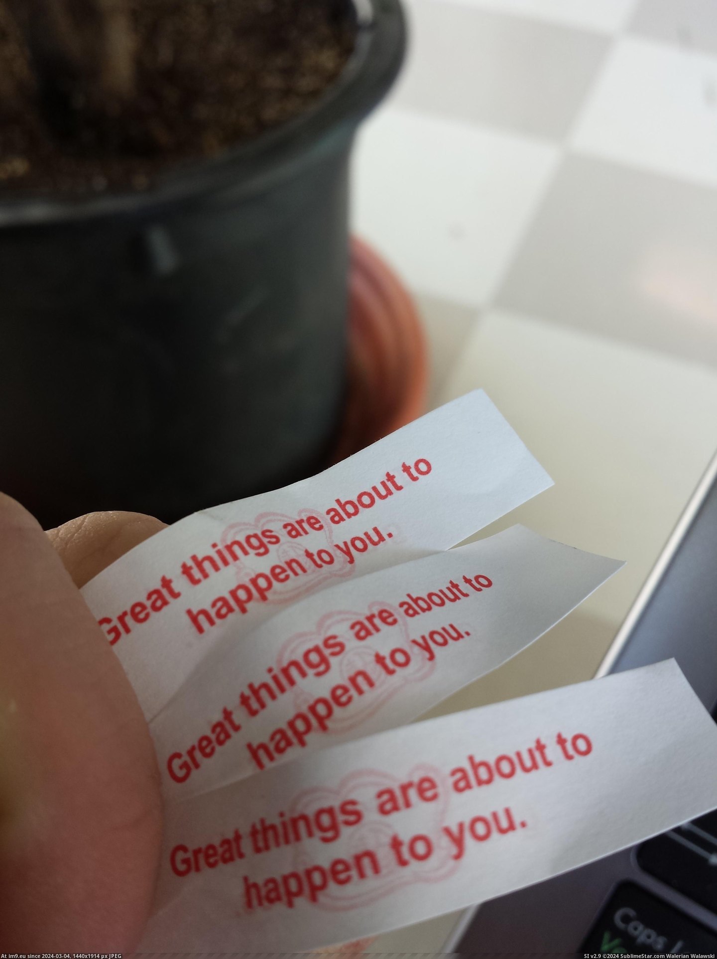 #Cookie #Fortune #Fortunes #Contained #Identical [Mildlyinteresting] My fortune cookie contained three identical fortunes Pic. (Bild von album My r/MILDLYINTERESTING favs))