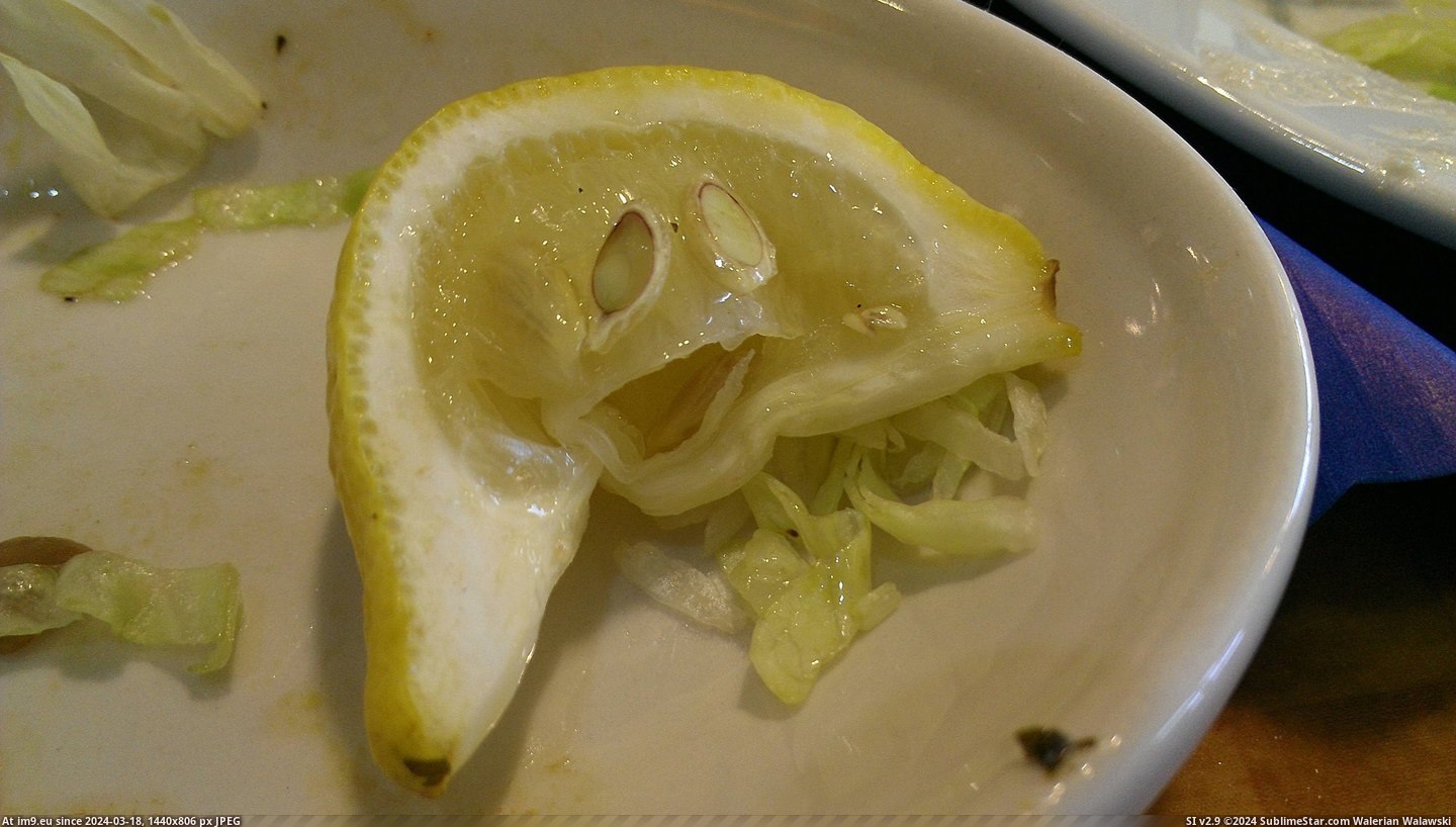 #Was #Pretty #Upset #Lemon #Eaten [Mildlyinteresting] My lemon was pretty upset about being eaten Pic. (Obraz z album My r/MILDLYINTERESTING favs))
