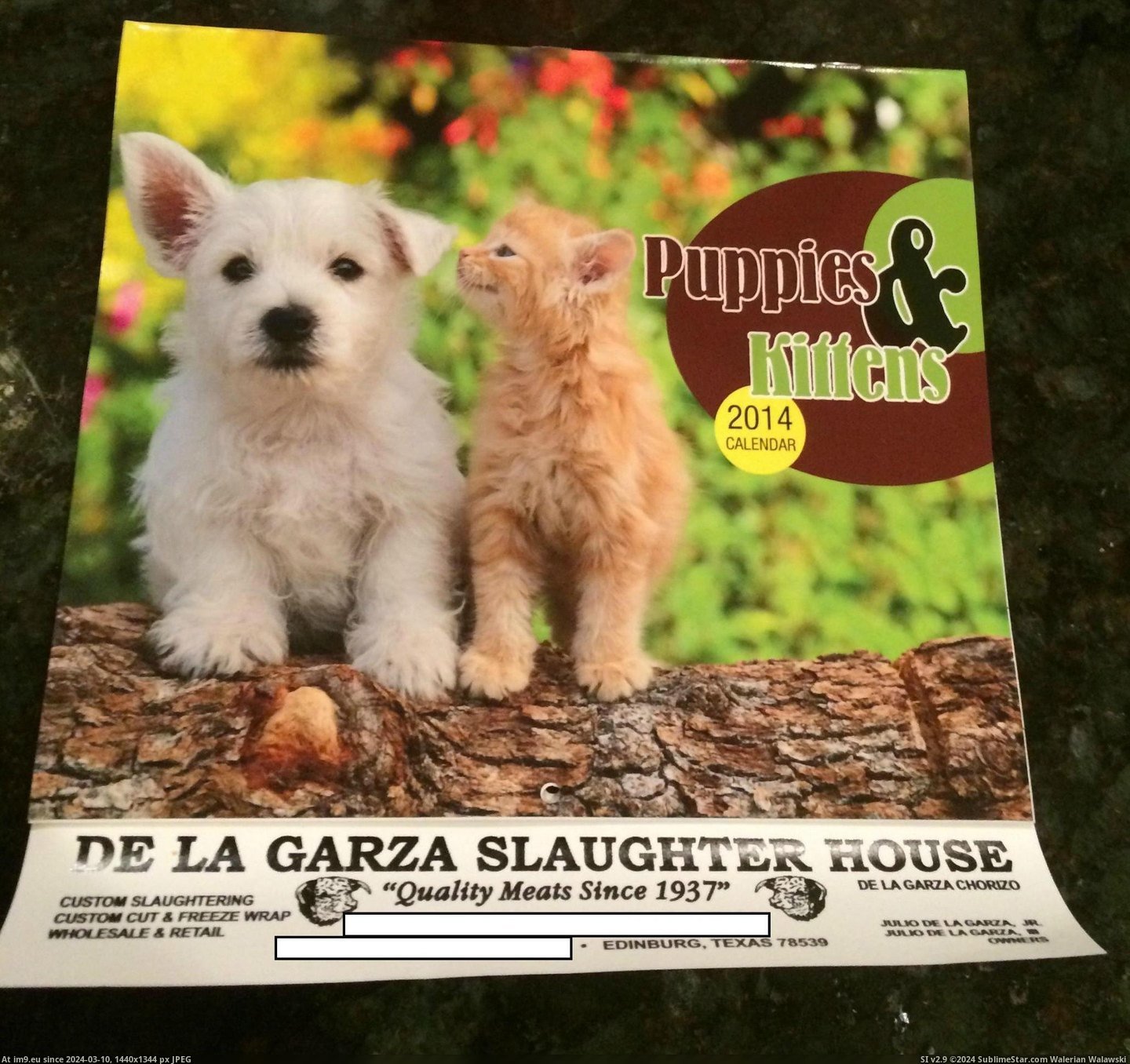 #Full #House #Local #Sells #Slaughter #Kittens #Calendar #Puppies [Mildlyinteresting] My local slaughter house sells a calendar full of puppies and kittens Pic. (Изображение из альбом My r/MILDLYINTERESTING favs))