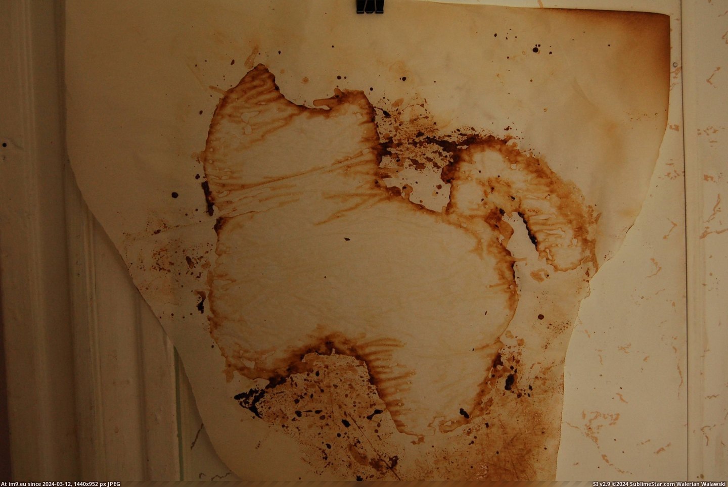 #Cat #Painting #Roommate #Cave #Cooked #Parchment #Paper #Pizza #Shaped [Mildlyinteresting] My roommate cooked a cat shaped pizza, the parchment paper he cooked it on now looks like a cave painting of Pic. (Bild von album My r/MILDLYINTERESTING favs))