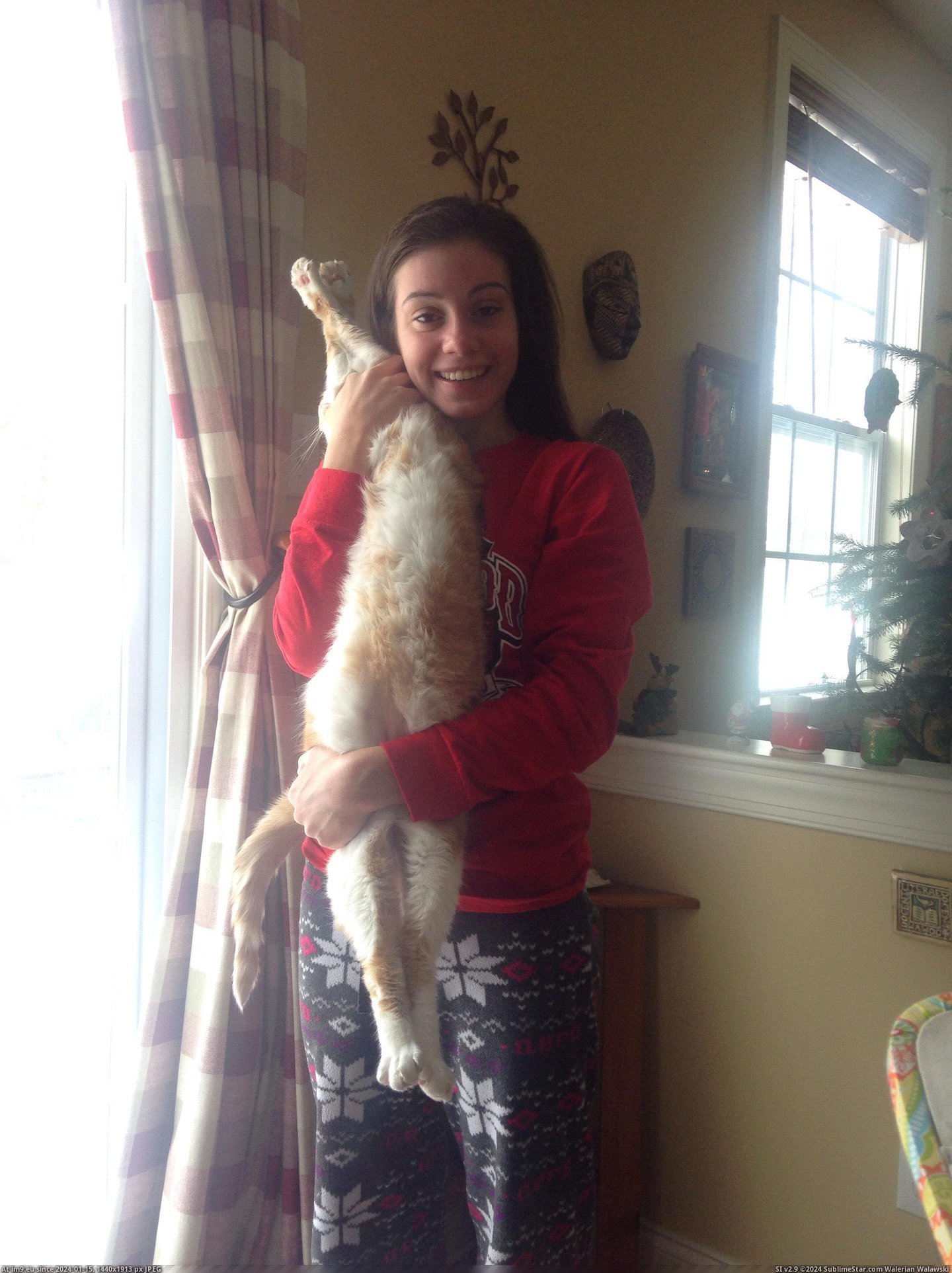 #Cat #Sister #Head #Holding #Way #Our [Mildlyinteresting] My sister is holding our cat in a way that makes it look like he doesn't have a head. Pic. (Изображение из альбом My r/MILDLYINTERESTING favs))
