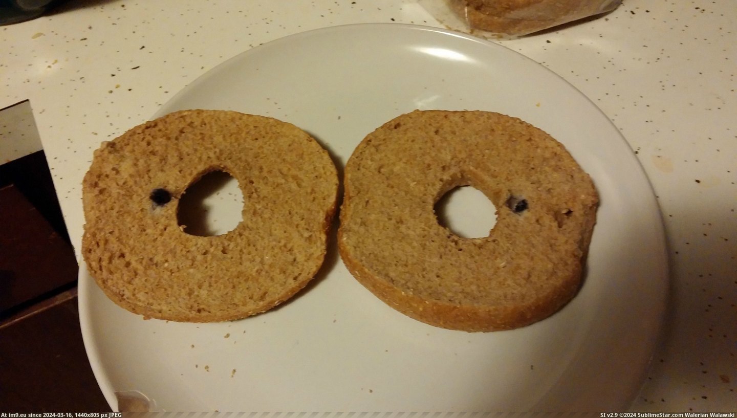 #Wheat #Blueberry #Bagel [Mildlyinteresting] My whole wheat bagel came with a blueberry 1 Pic. (Image of album My r/MILDLYINTERESTING favs))