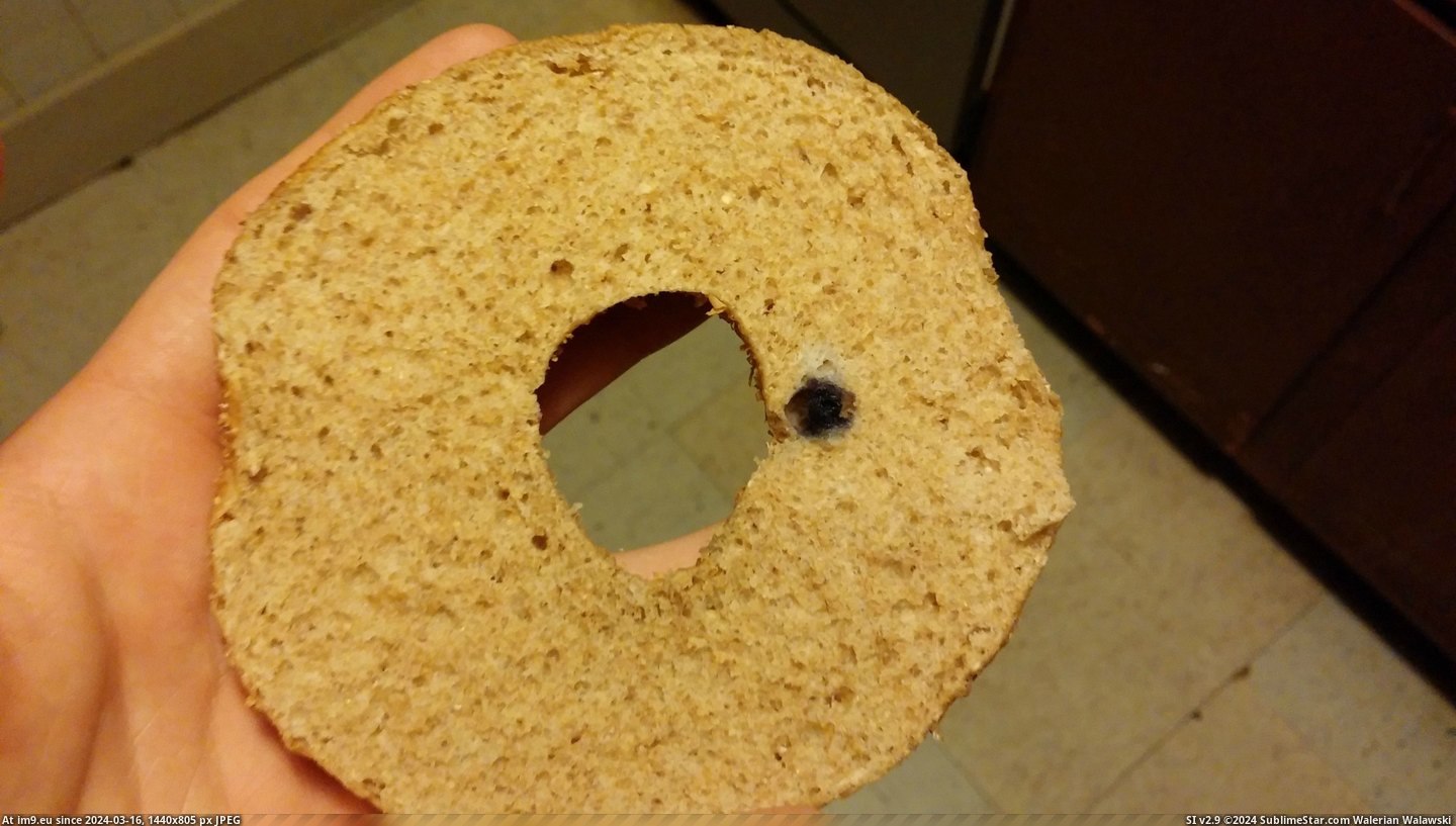 #Wheat #Blueberry #Bagel [Mildlyinteresting] My whole wheat bagel came with a blueberry 2 Pic. (Image of album My r/MILDLYINTERESTING favs))