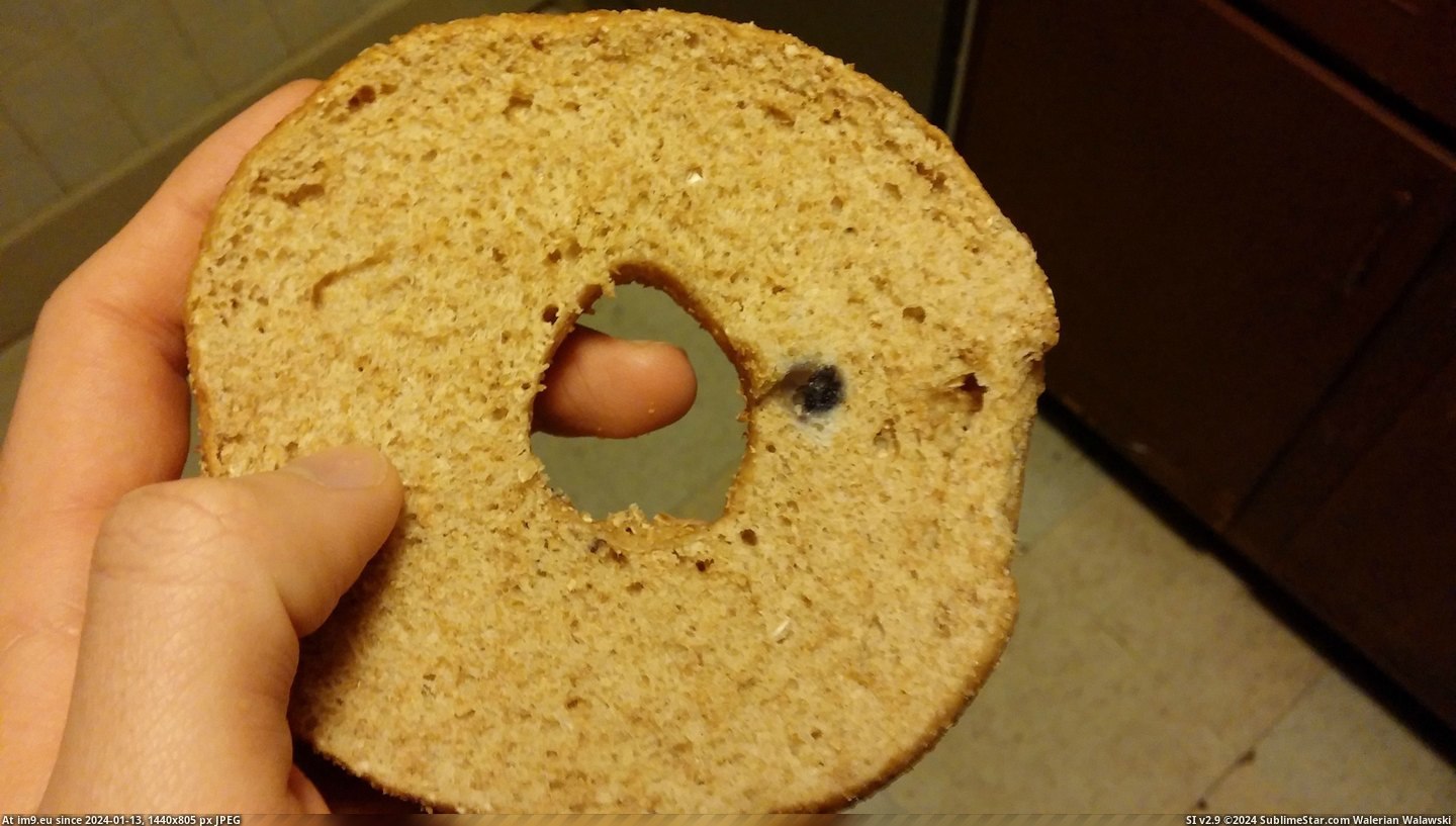 #Wheat #Blueberry #Bagel [Mildlyinteresting] My whole wheat bagel came with a blueberry 3 Pic. (Image of album My r/MILDLYINTERESTING favs))