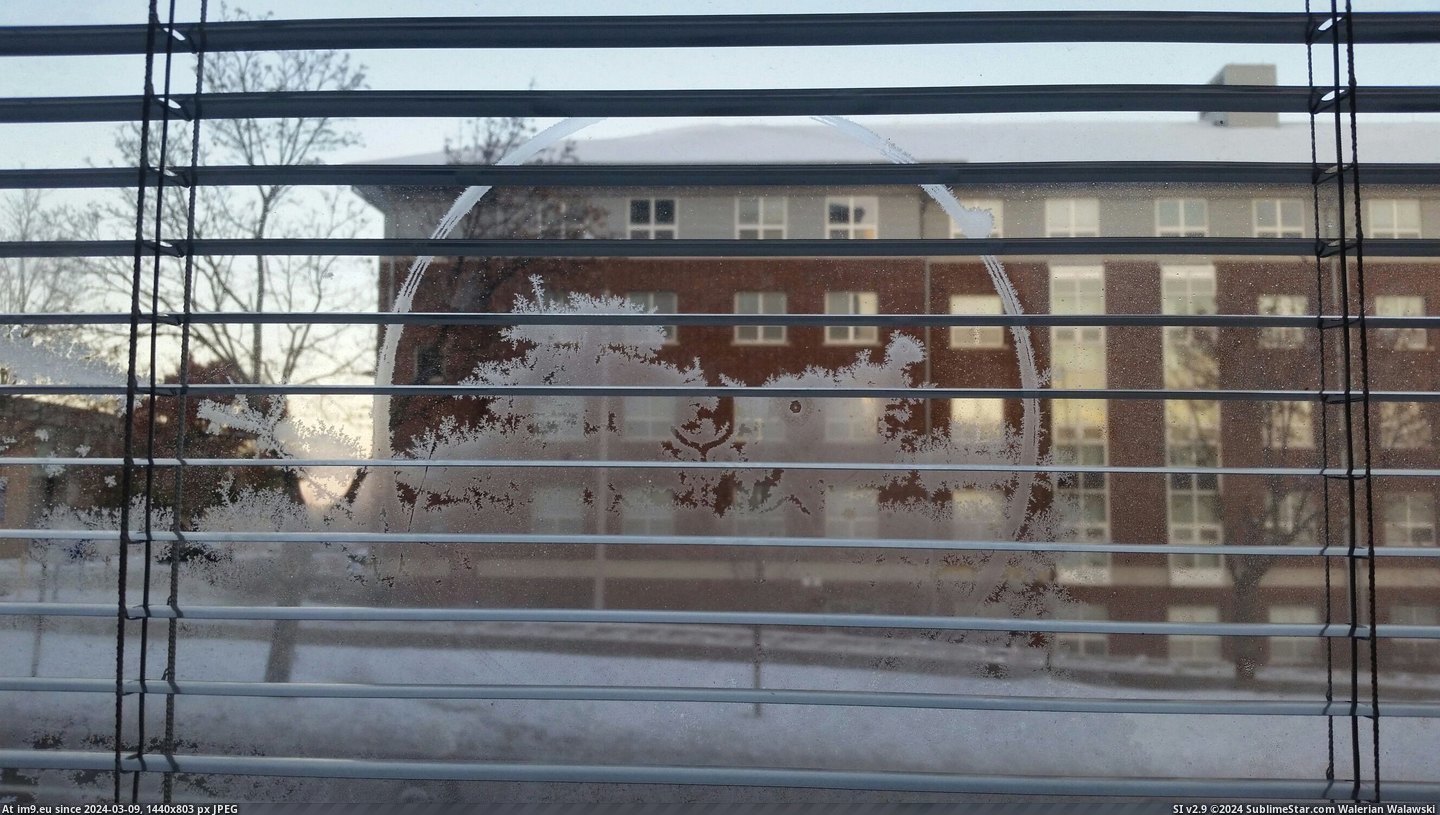 #Window #Trees #Frost #Eclipse #Solar #Dorm [Mildlyinteresting] The frost on my dorm window looks like a solar eclipse behind trees. Pic. (Изображение из альбом My r/MILDLYINTERESTING favs))