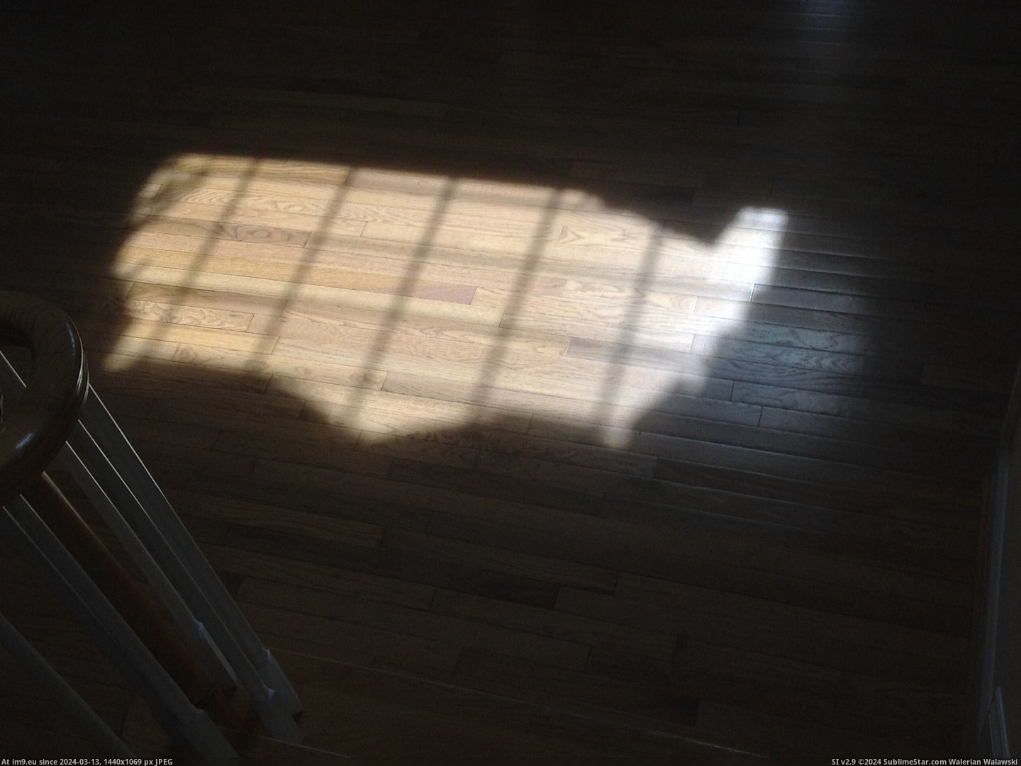 #States #Sun #Glare #United #Floor [Mildlyinteresting] The glare of the sun on my floor looks like the United States Pic. (Image of album My r/MILDLYINTERESTING favs))