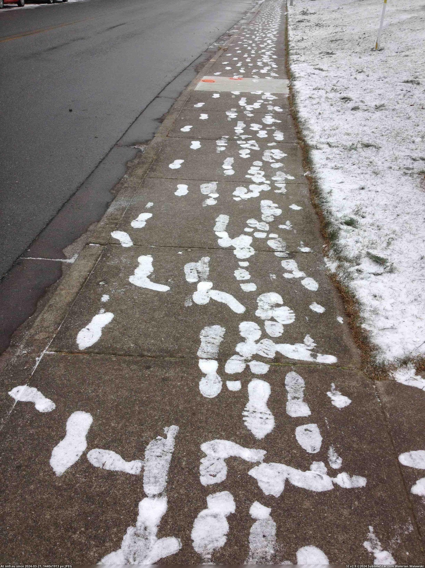 #Snow  #Melted [Mildlyinteresting] The snow melted everywhere else Pic. (Obraz z album My r/MILDLYINTERESTING favs))