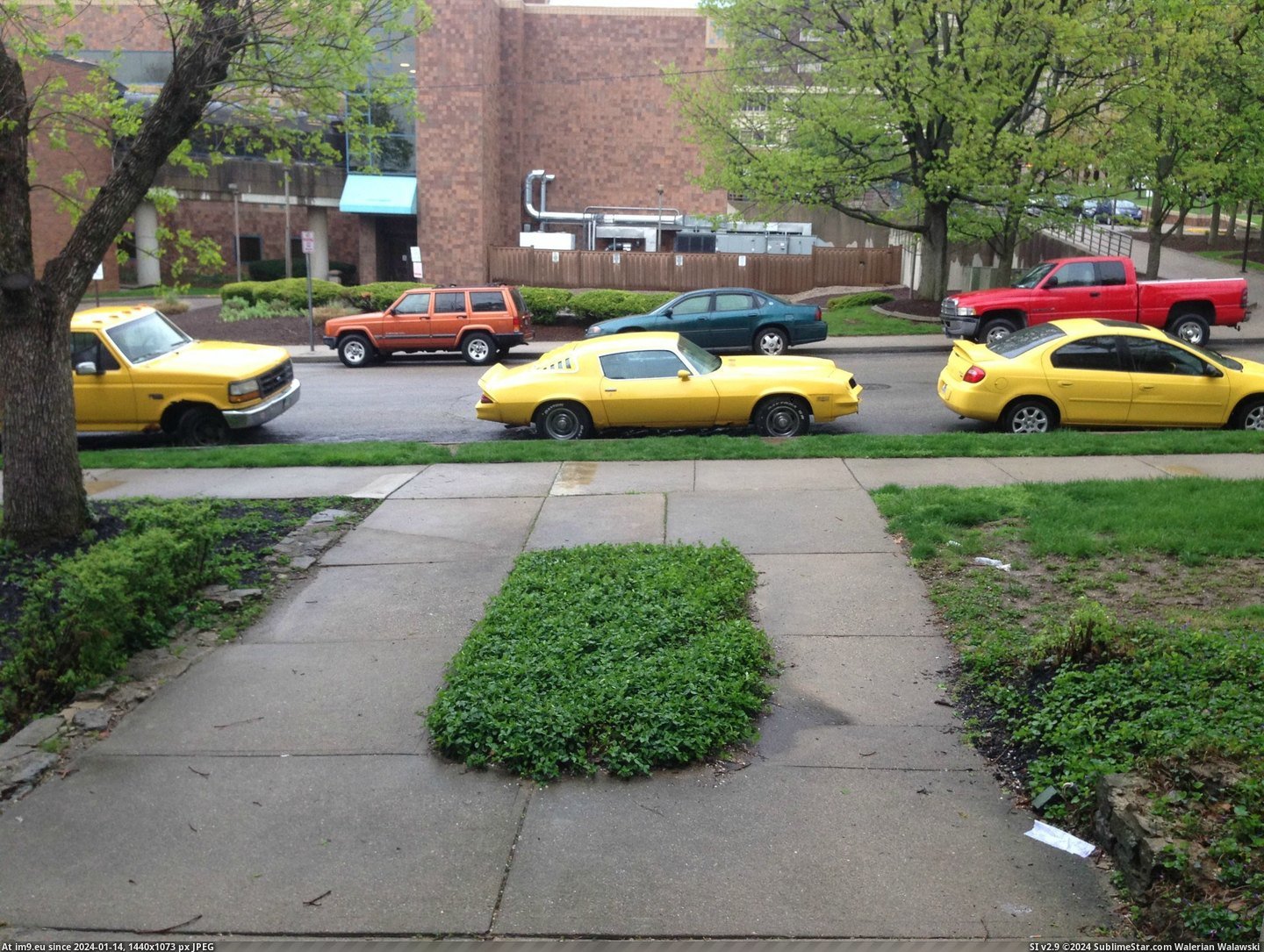 #Morning #Apartment #Row #Parked #Yellow #Cars [Mildlyinteresting] These 3 yellow cars were parked in a row outside my apartment this morning Pic. (Obraz z album My r/MILDLYINTERESTING favs))