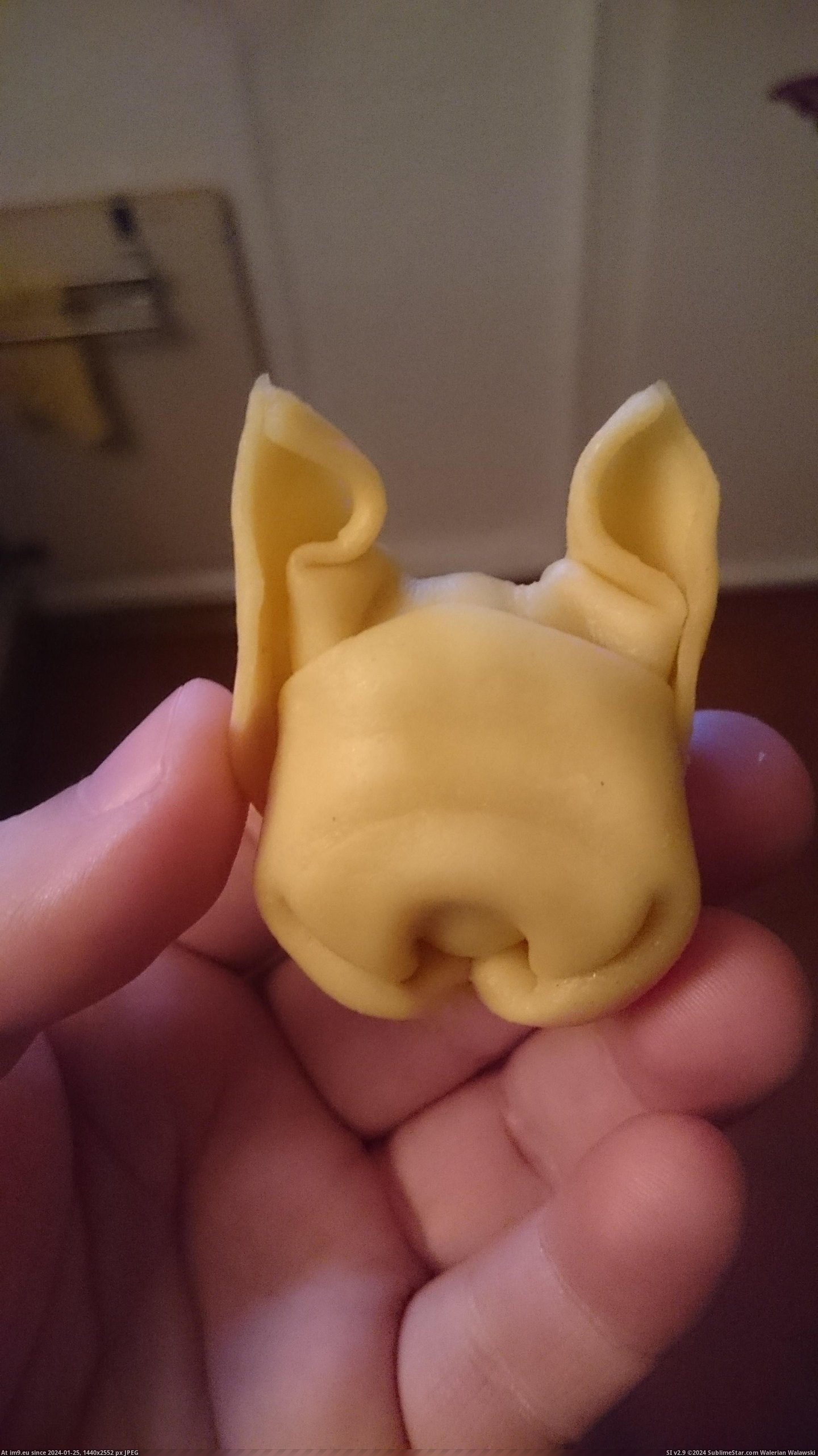#Two #French #Pieces #Bulldog #Pasta #Head #Looked [Mildlyinteresting] These two pieces of pasta looked like the head of a french bulldog. Pic. (Изображение из альбом My r/MILDLYINTERESTING favs))