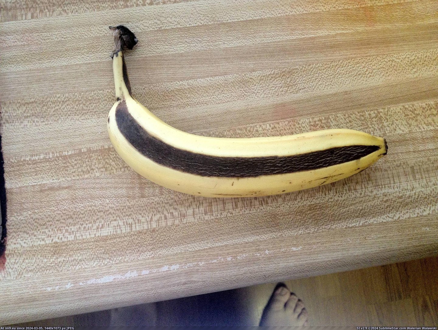 #Spot #Faster #Ripened #Banana [Mildlyinteresting] This banana ripened faster in this spot Pic. (Obraz z album My r/MILDLYINTERESTING favs))