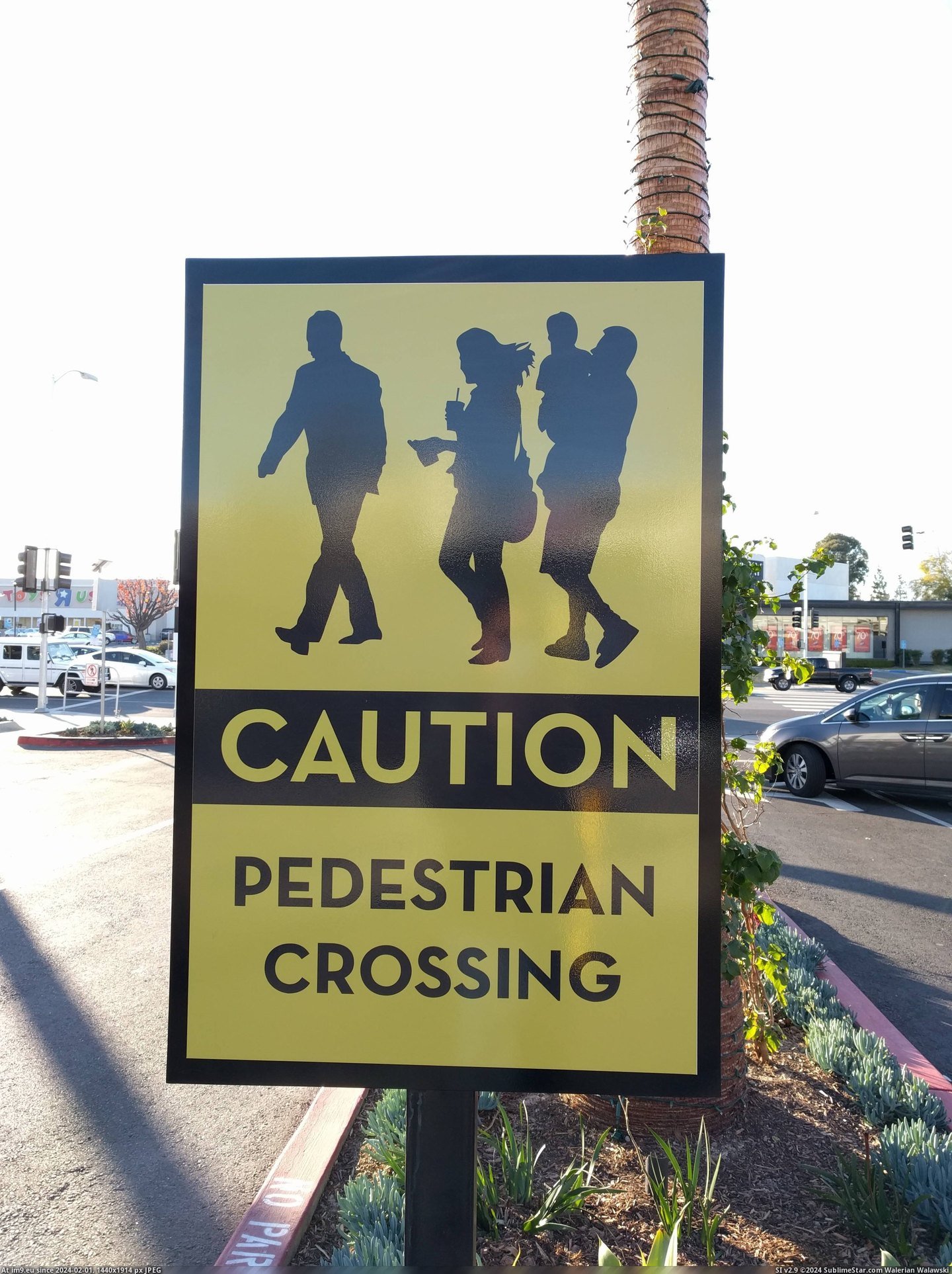 #People #Crossing #Pedestrian #Realistic [Mildlyinteresting] This pedestrian crossing sign has realistic people. Pic. (Image of album My r/MILDLYINTERESTING favs))