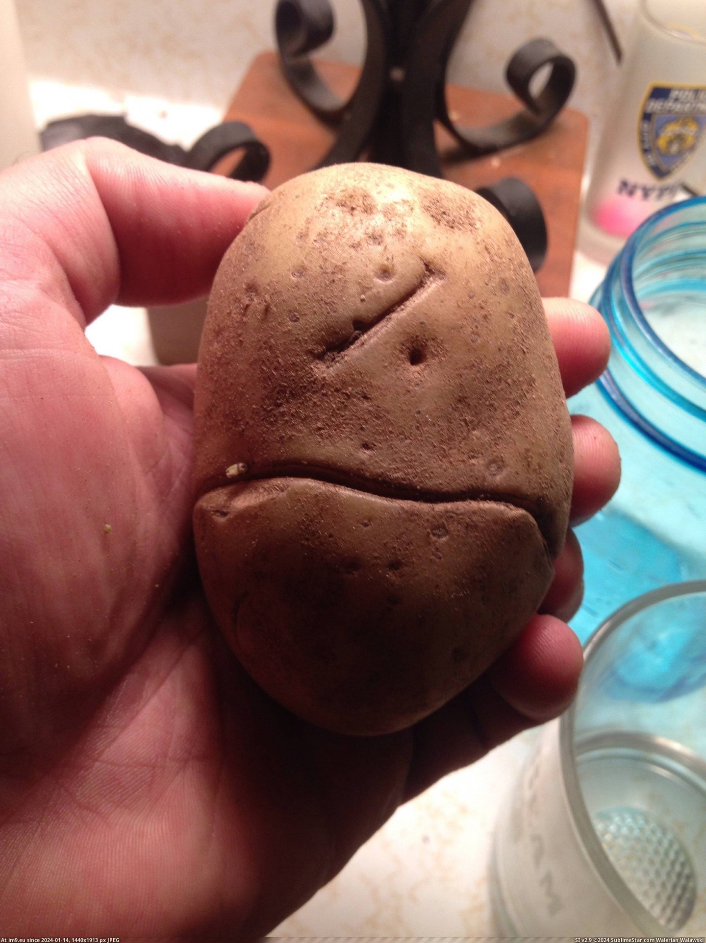 #One #Park #Potato #Eyed #South #Canadian [Mildlyinteresting] This potato looks like a one-eyed Canadian from South Park. Pic. (Obraz z album My r/MILDLYINTERESTING favs))