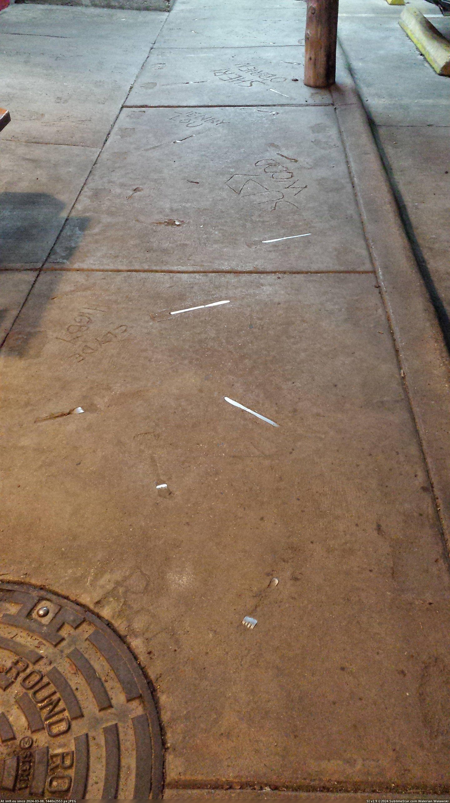 #Sidewalk #Silverware #Embedded [Mildlyinteresting] This sidewalk has silverware embedded in it. Pic. (Obraz z album My r/MILDLYINTERESTING favs))