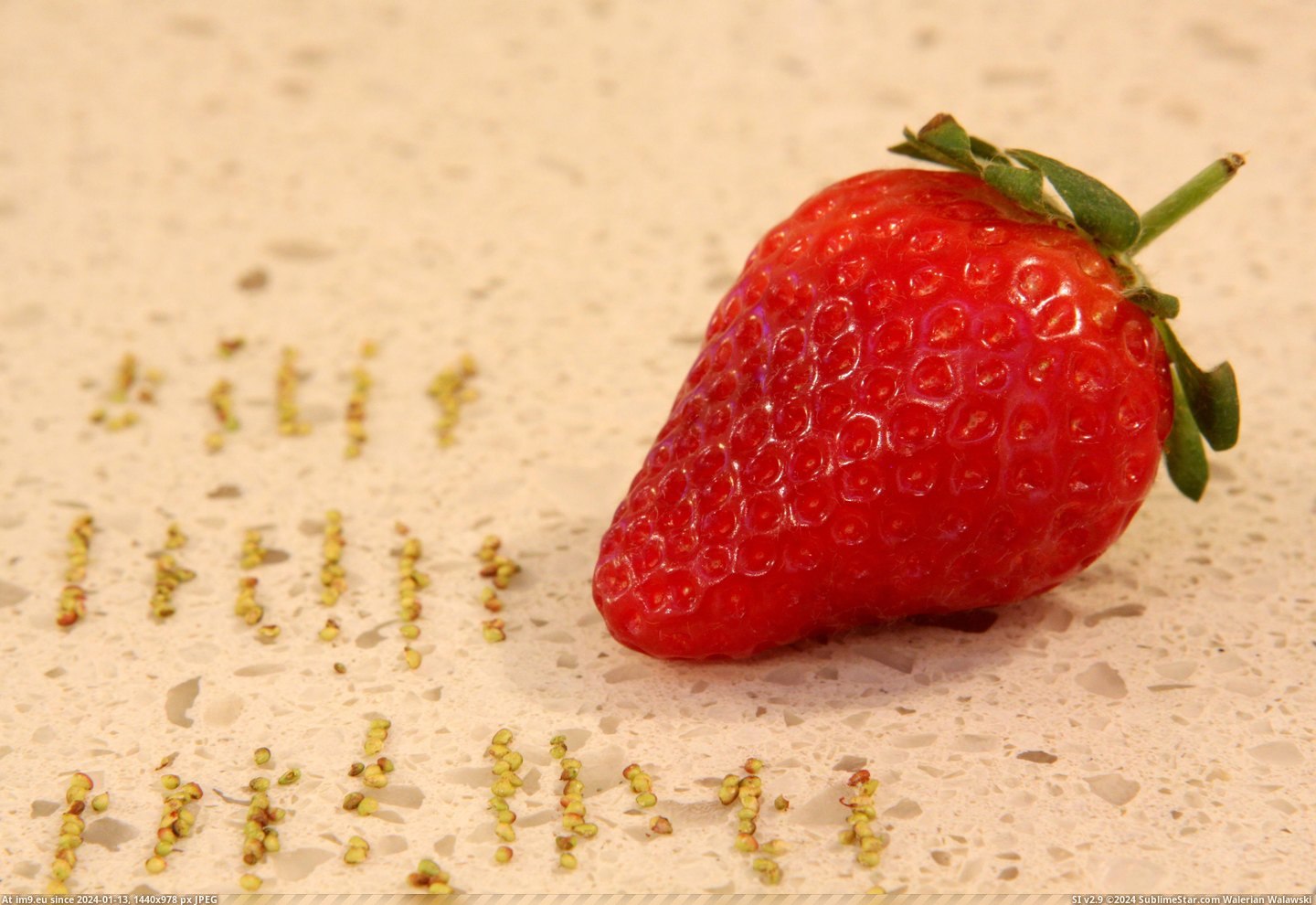 #Strawberry  #Seeds [Mildlyinteresting] This strawberry had 204 seeds. 1 Pic. (Изображение из альбом My r/MILDLYINTERESTING favs))