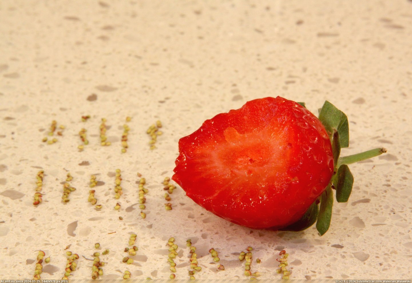 #Strawberry  #Seeds [Mildlyinteresting] This strawberry had 204 seeds. 2 Pic. (Изображение из альбом My r/MILDLYINTERESTING favs))