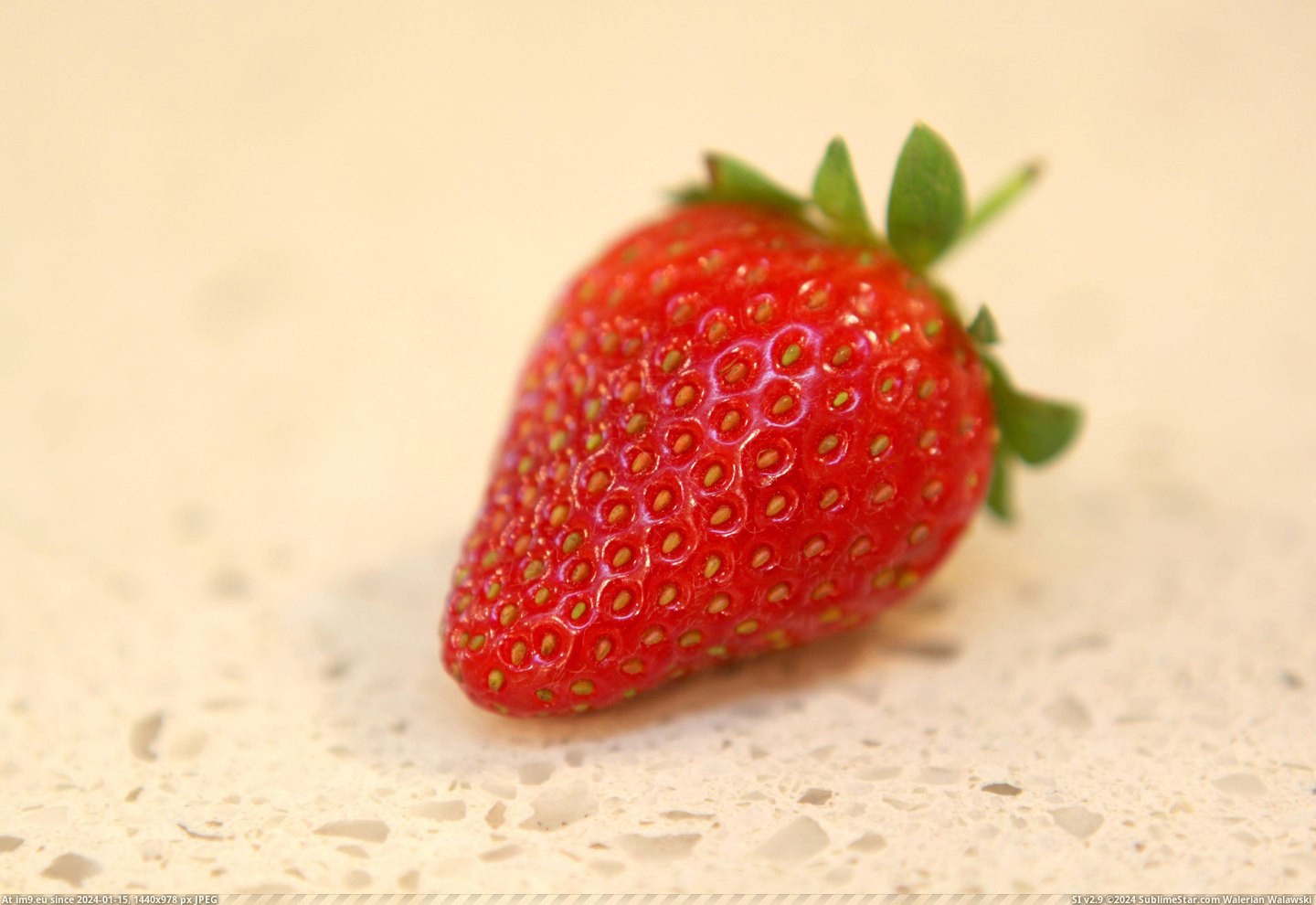 #Strawberry  #Seeds [Mildlyinteresting] This strawberry had 204 seeds. 4 Pic. (Изображение из альбом My r/MILDLYINTERESTING favs))